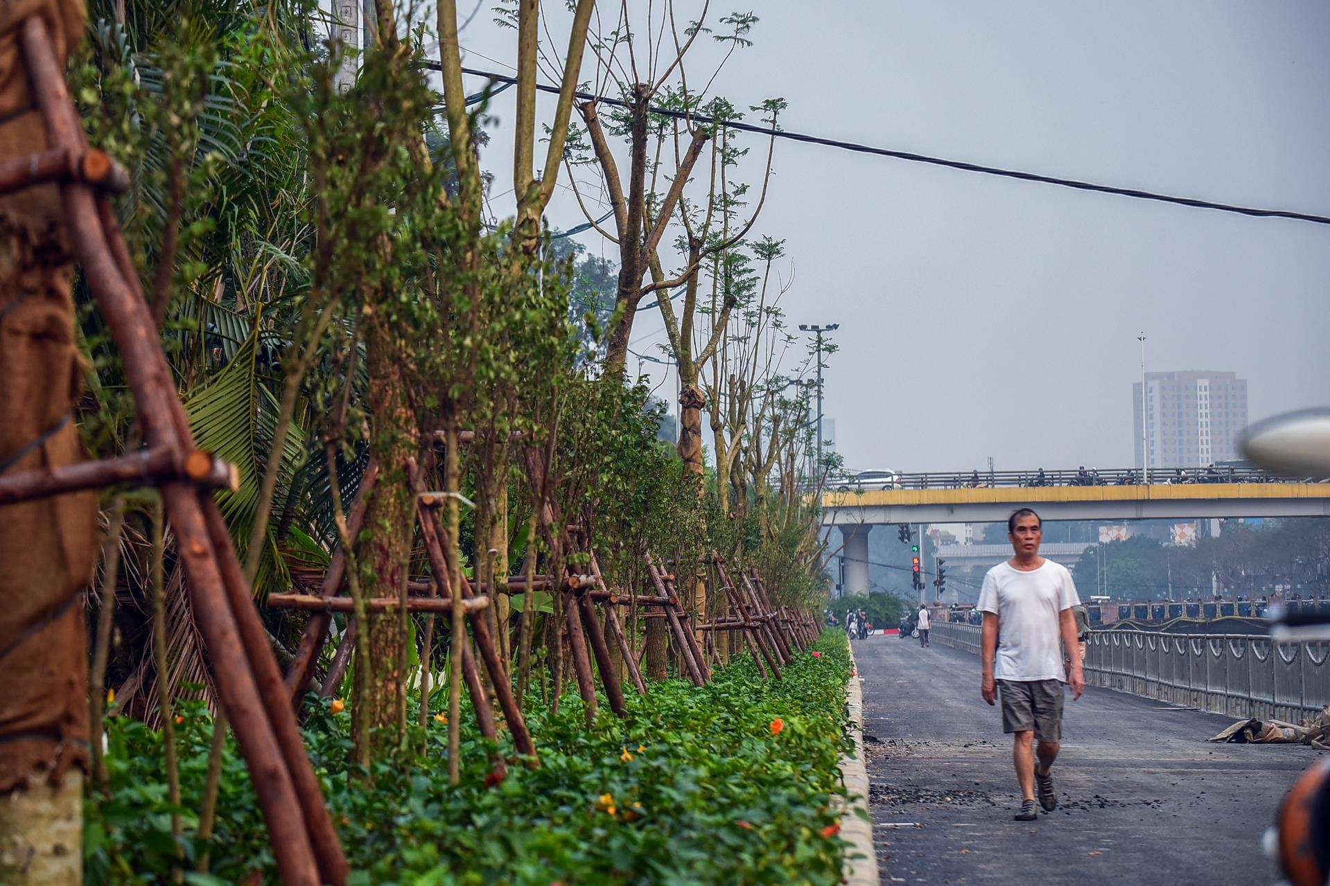 duong di bo ven song To Lich Ha Noi anh 4