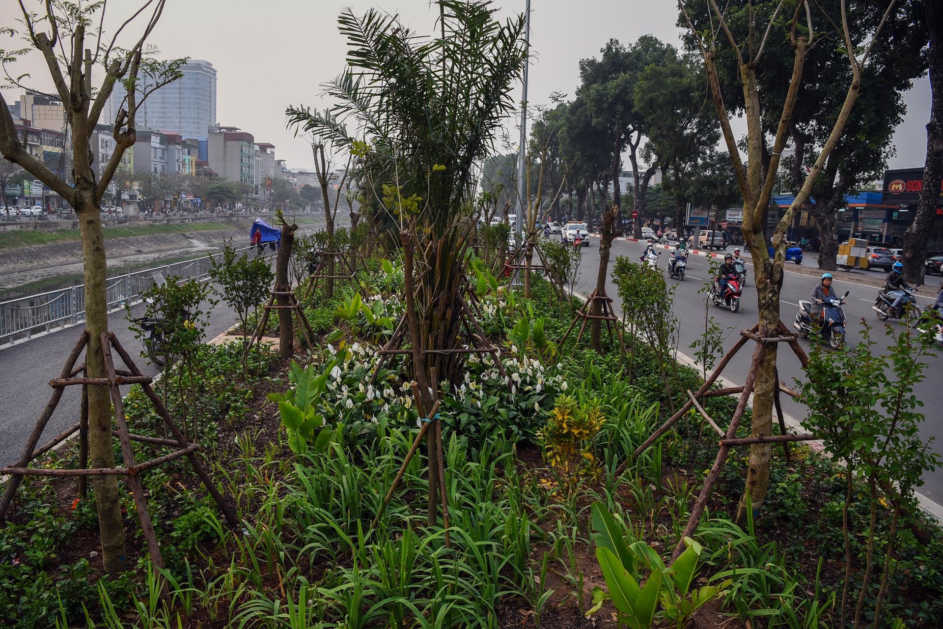 duong di bo ven song To Lich Ha Noi anh 5