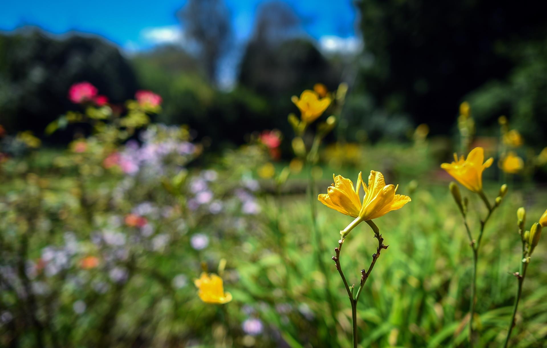 Du lich New Zealand anh 12