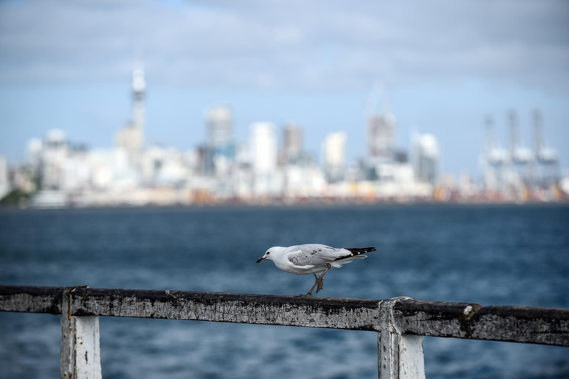 Du lich New Zealand anh 15