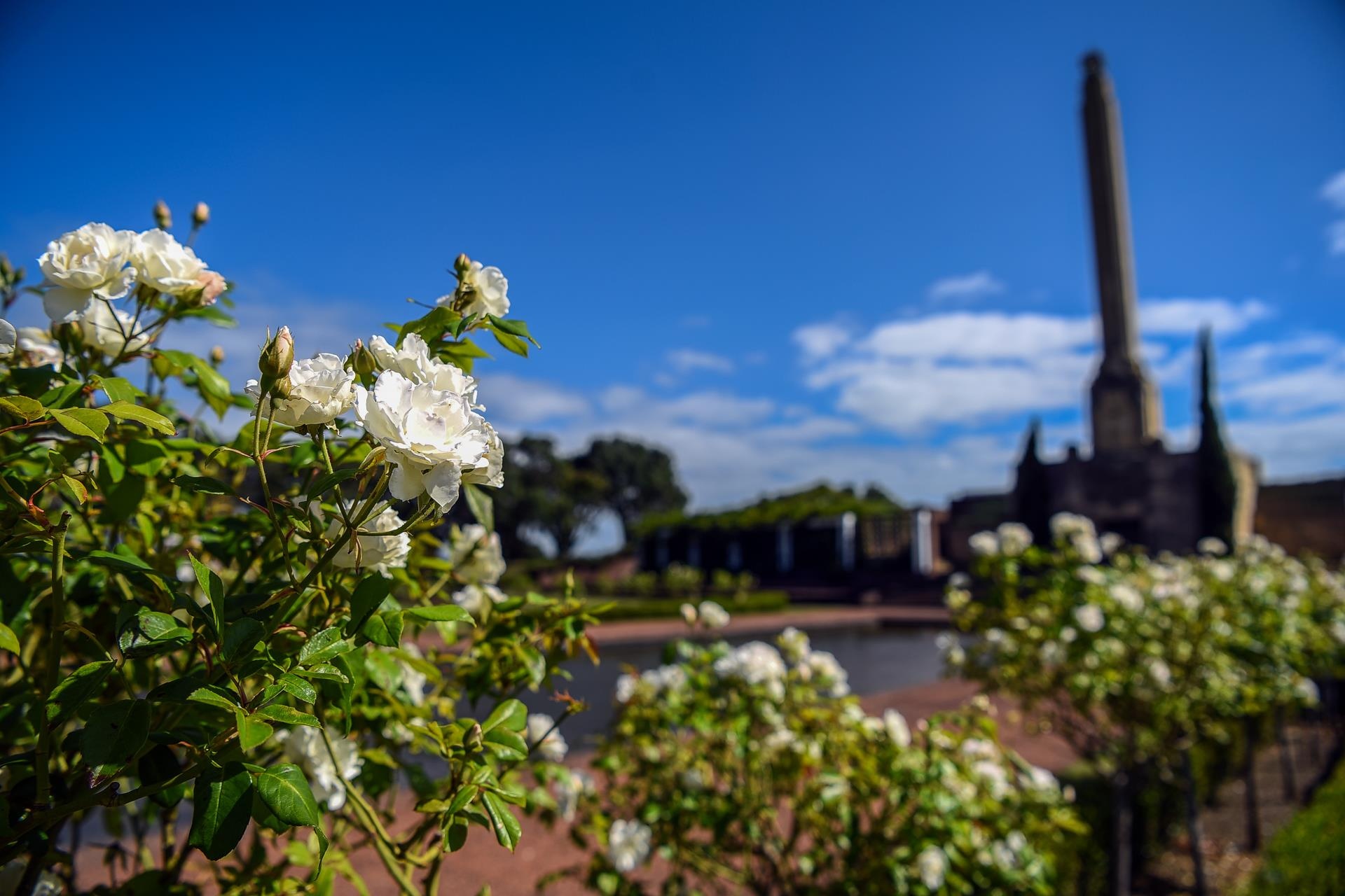 Du lich New Zealand anh 21