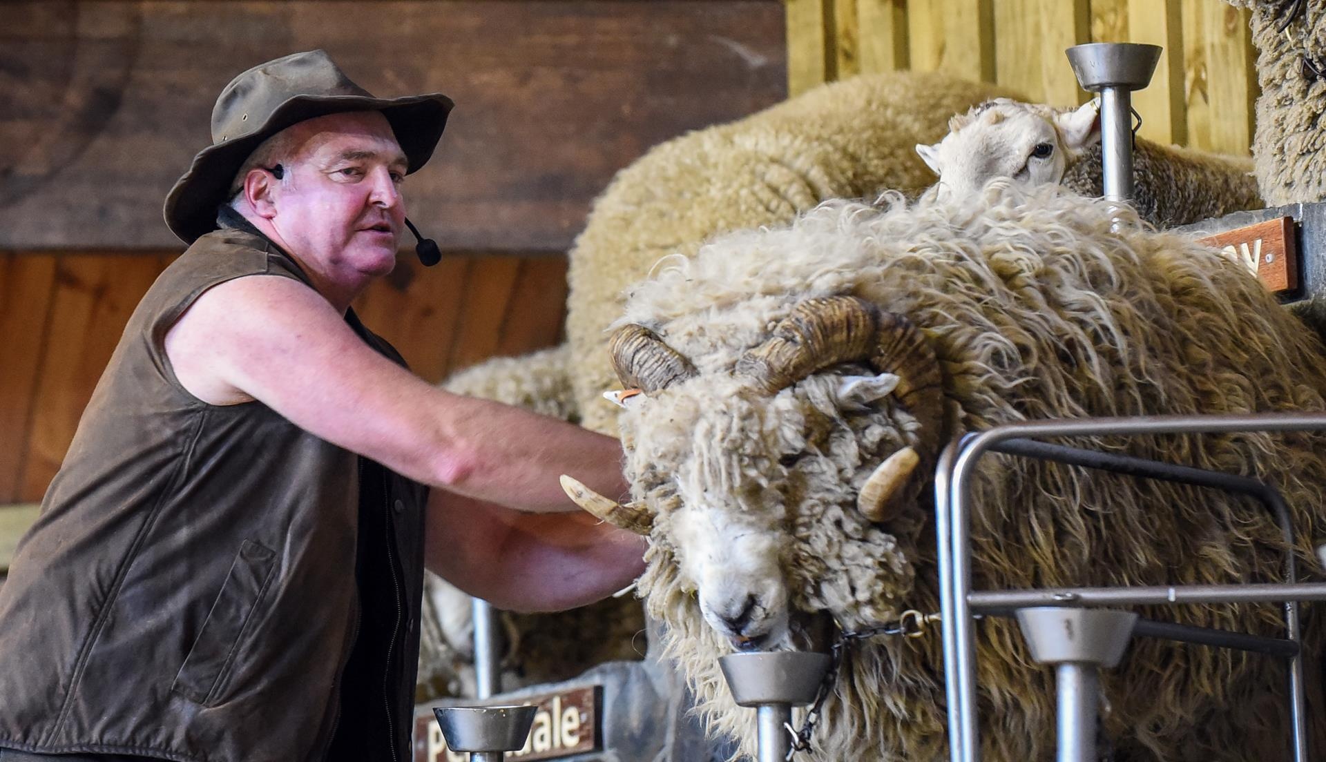 Du lich New Zealand anh 26