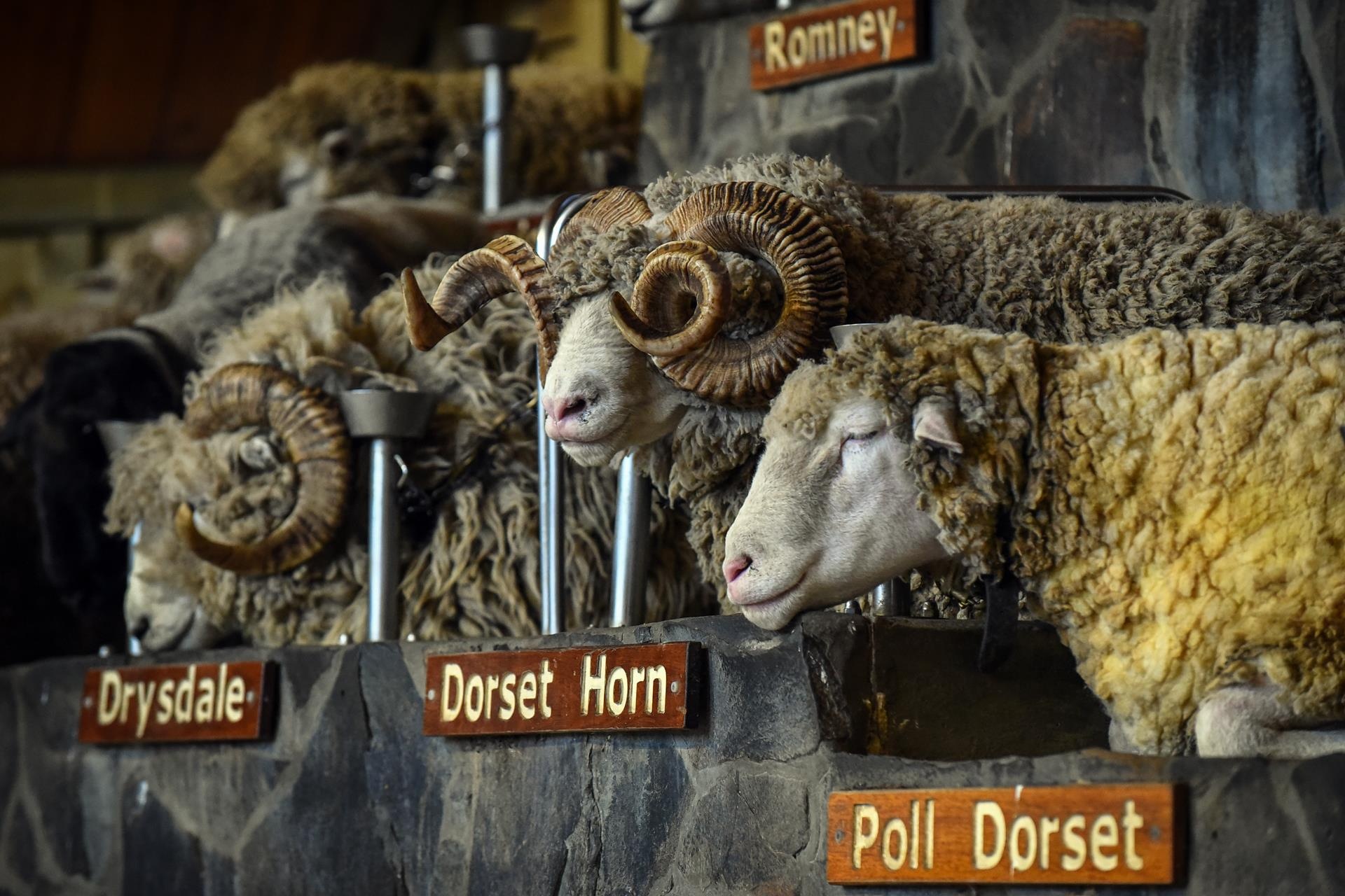 Du lich New Zealand anh 27