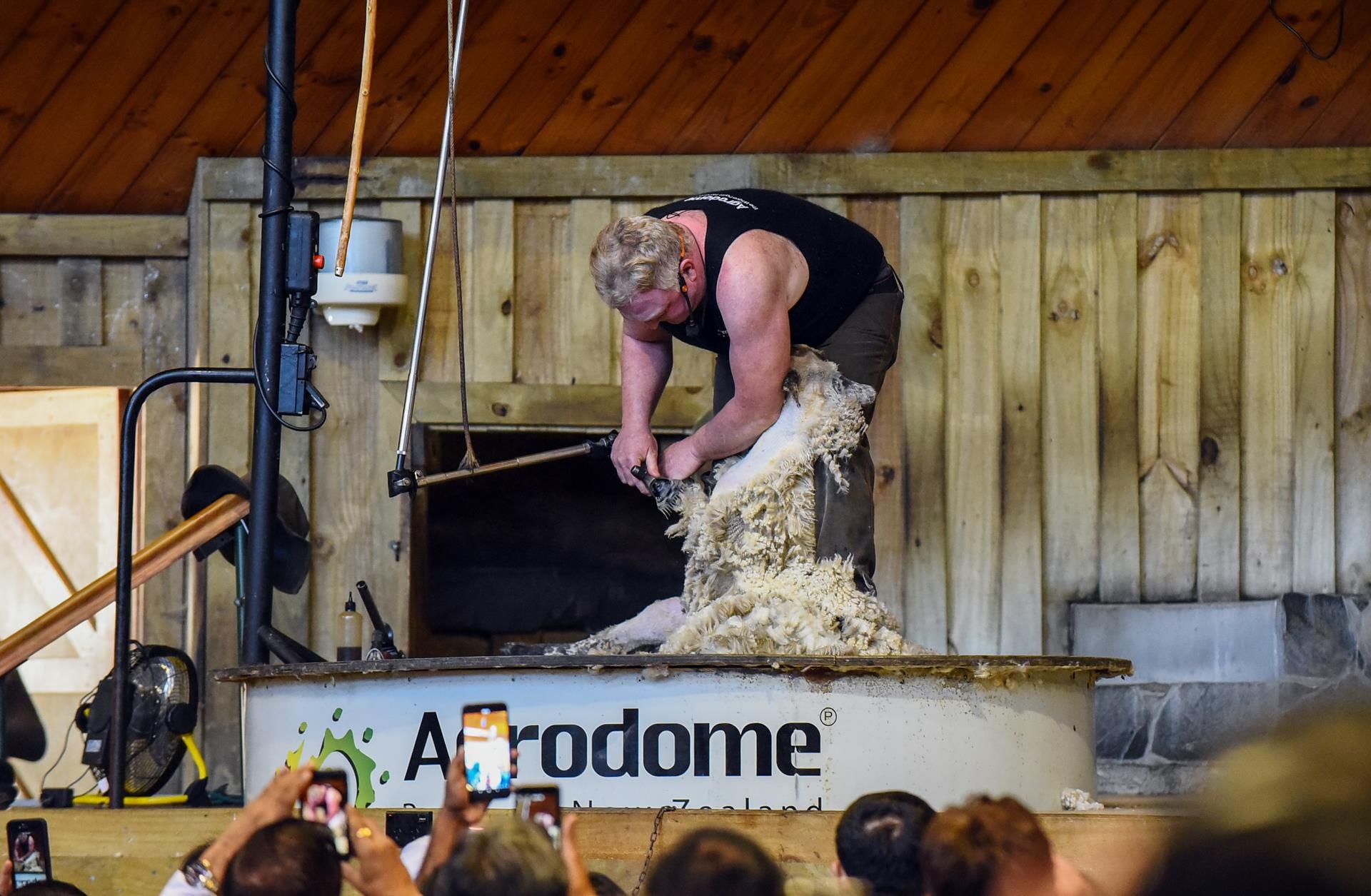 Du lich New Zealand anh 28