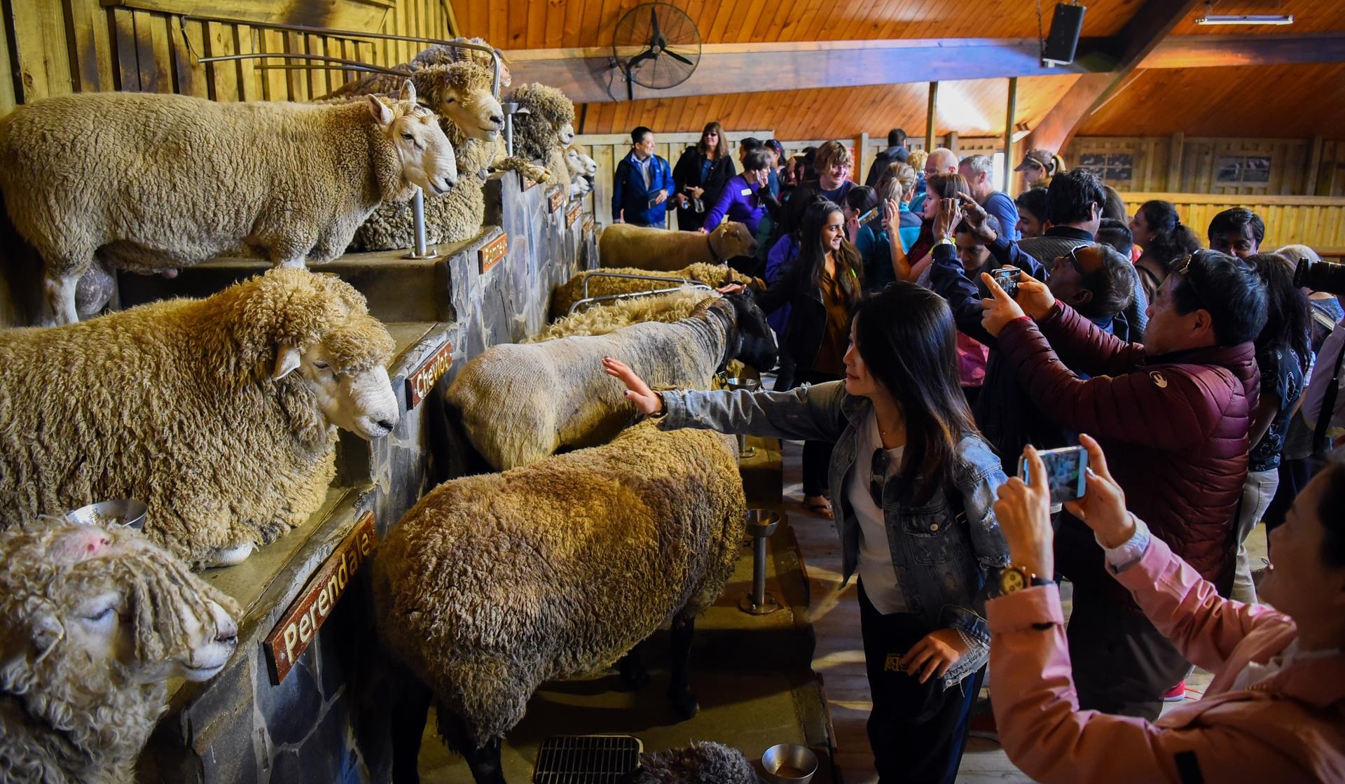 Du lich New Zealand anh 33