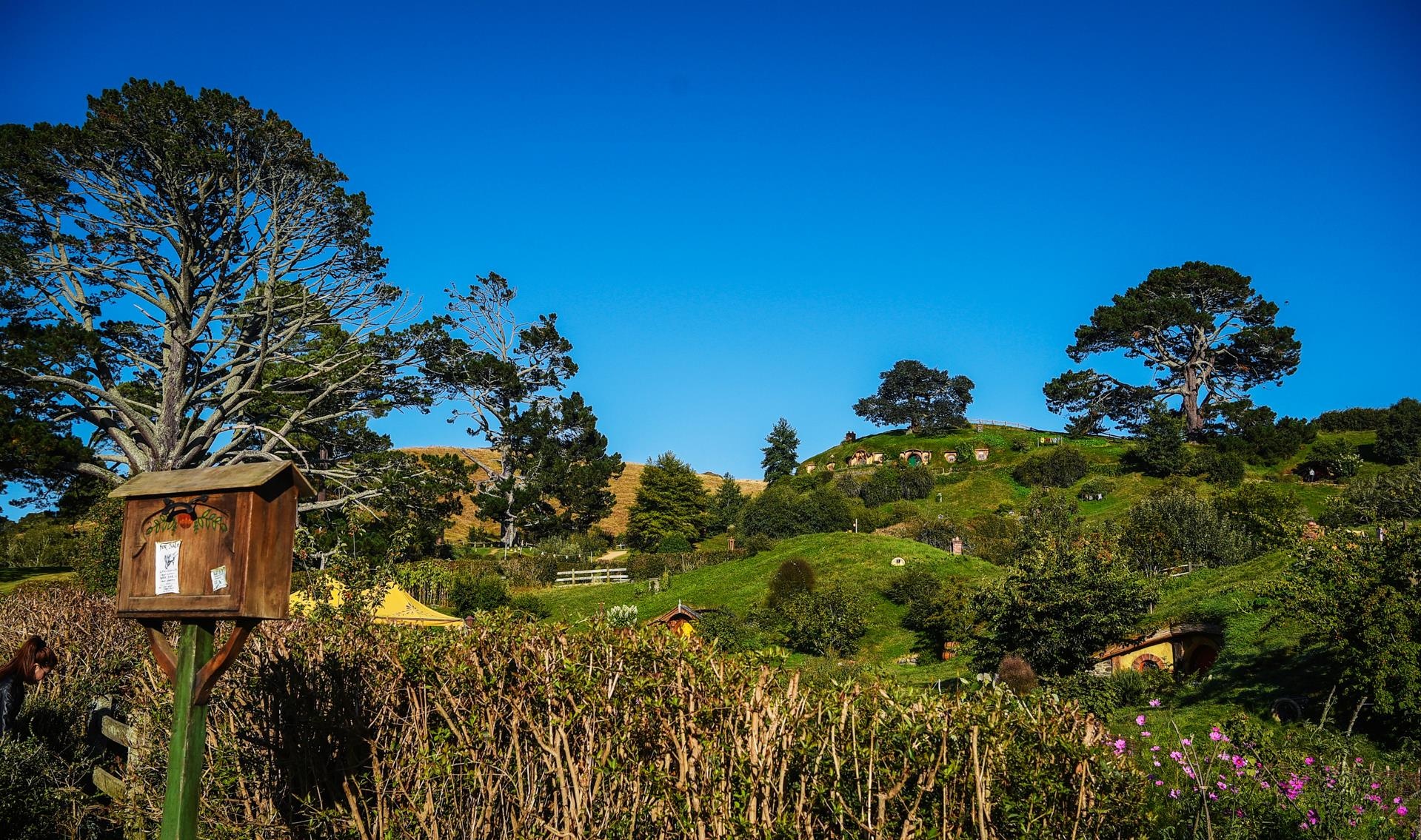 Du lich New Zealand anh 38