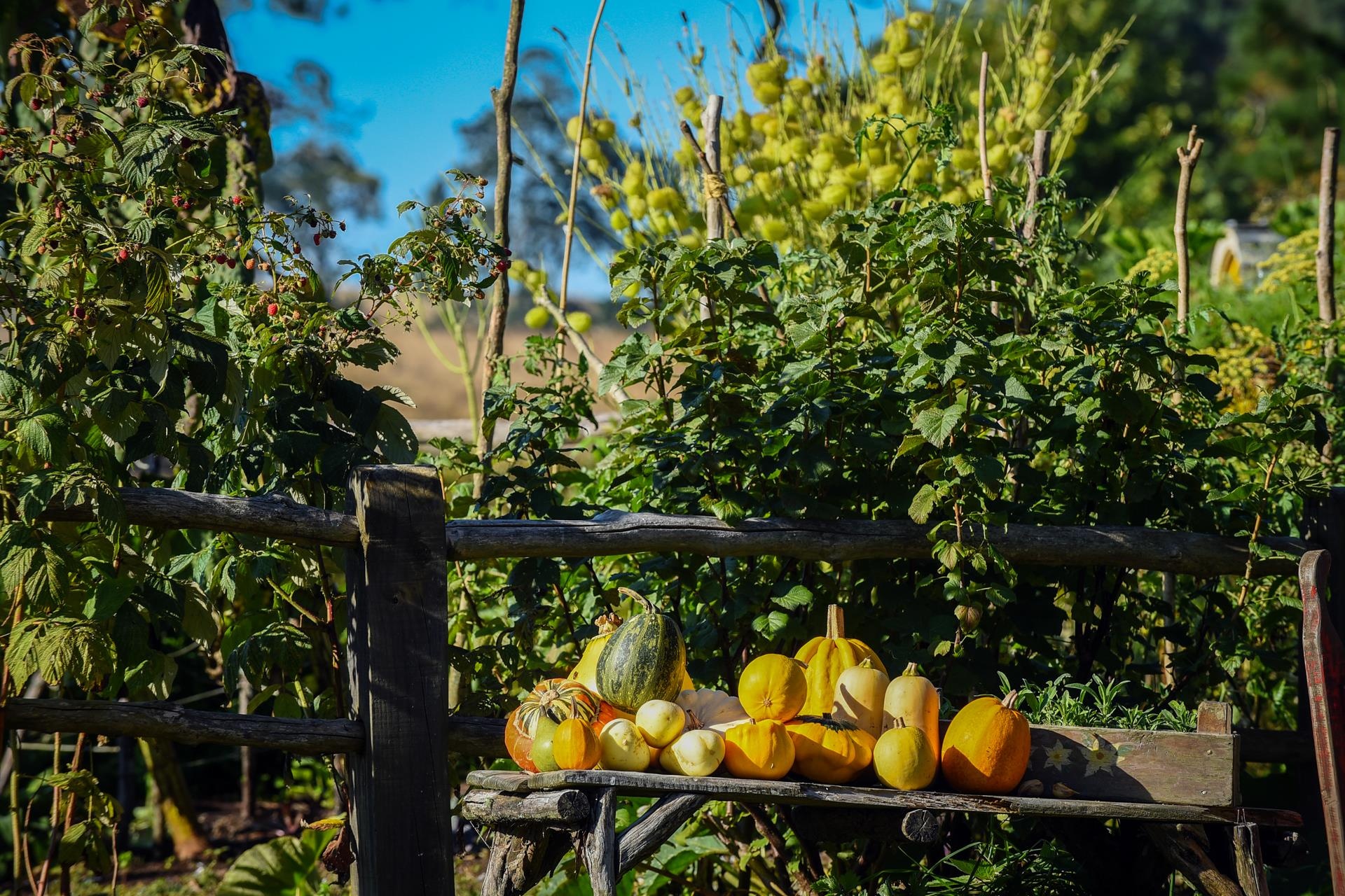 Du lich New Zealand anh 42