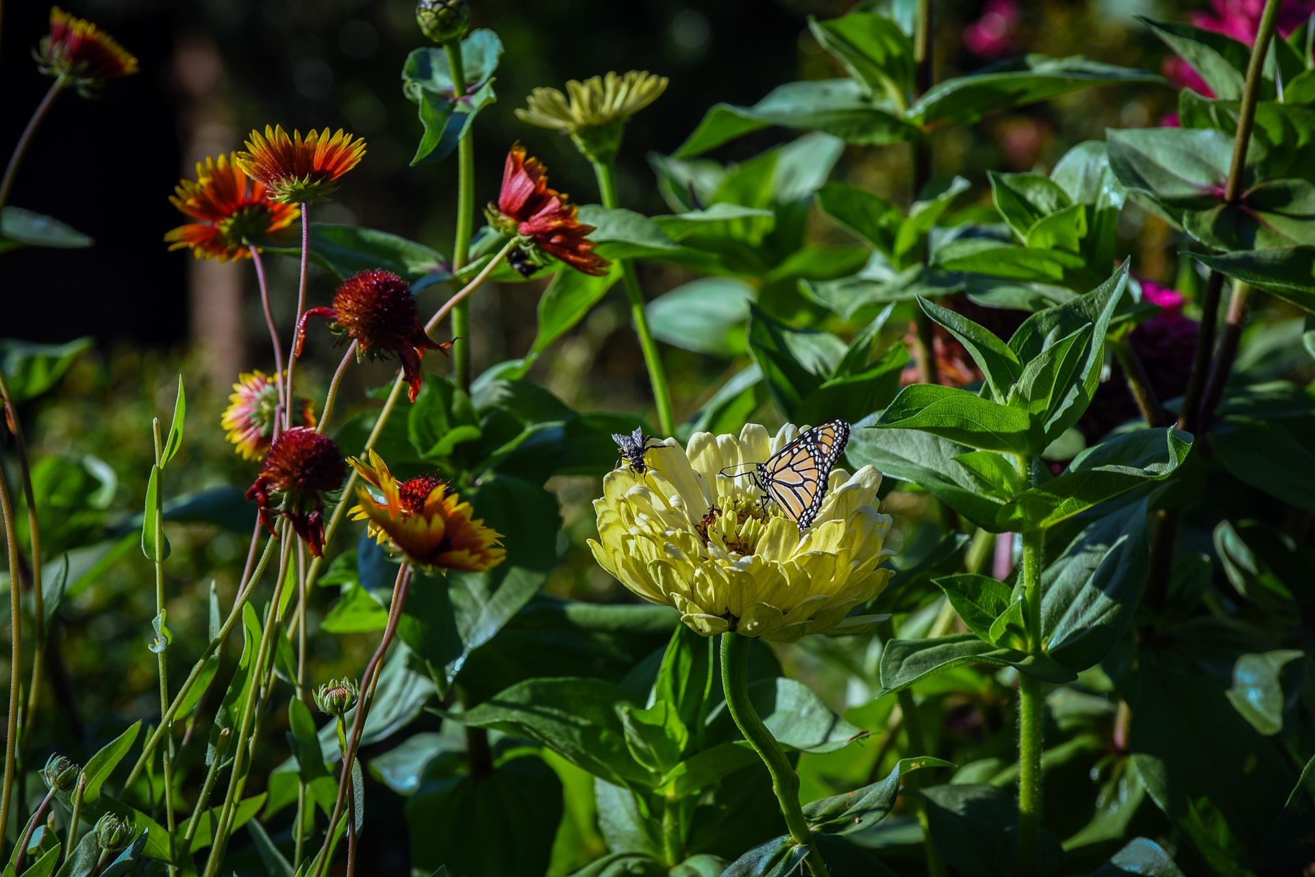 Du lich New Zealand anh 43