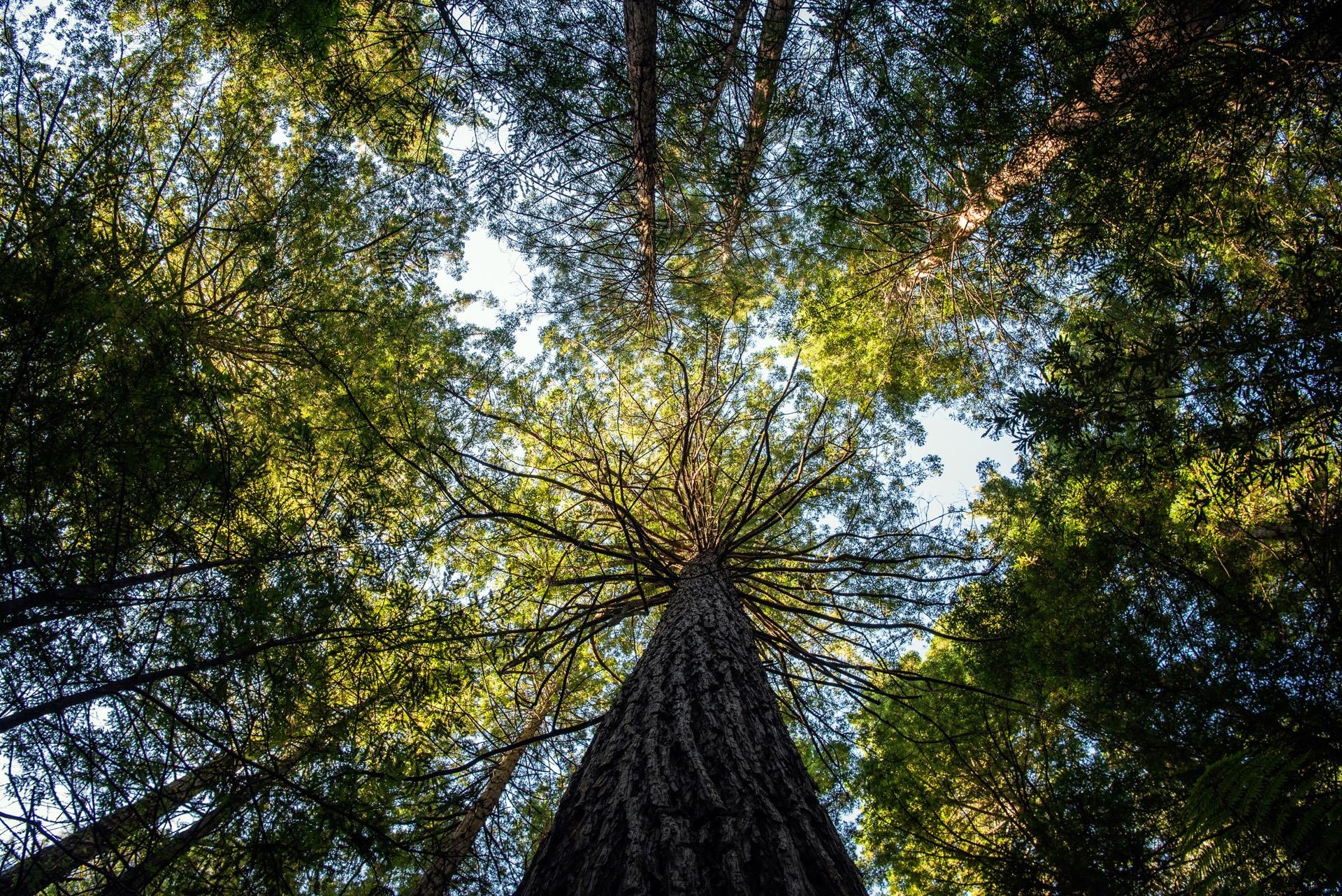 Du lich New Zealand anh 44