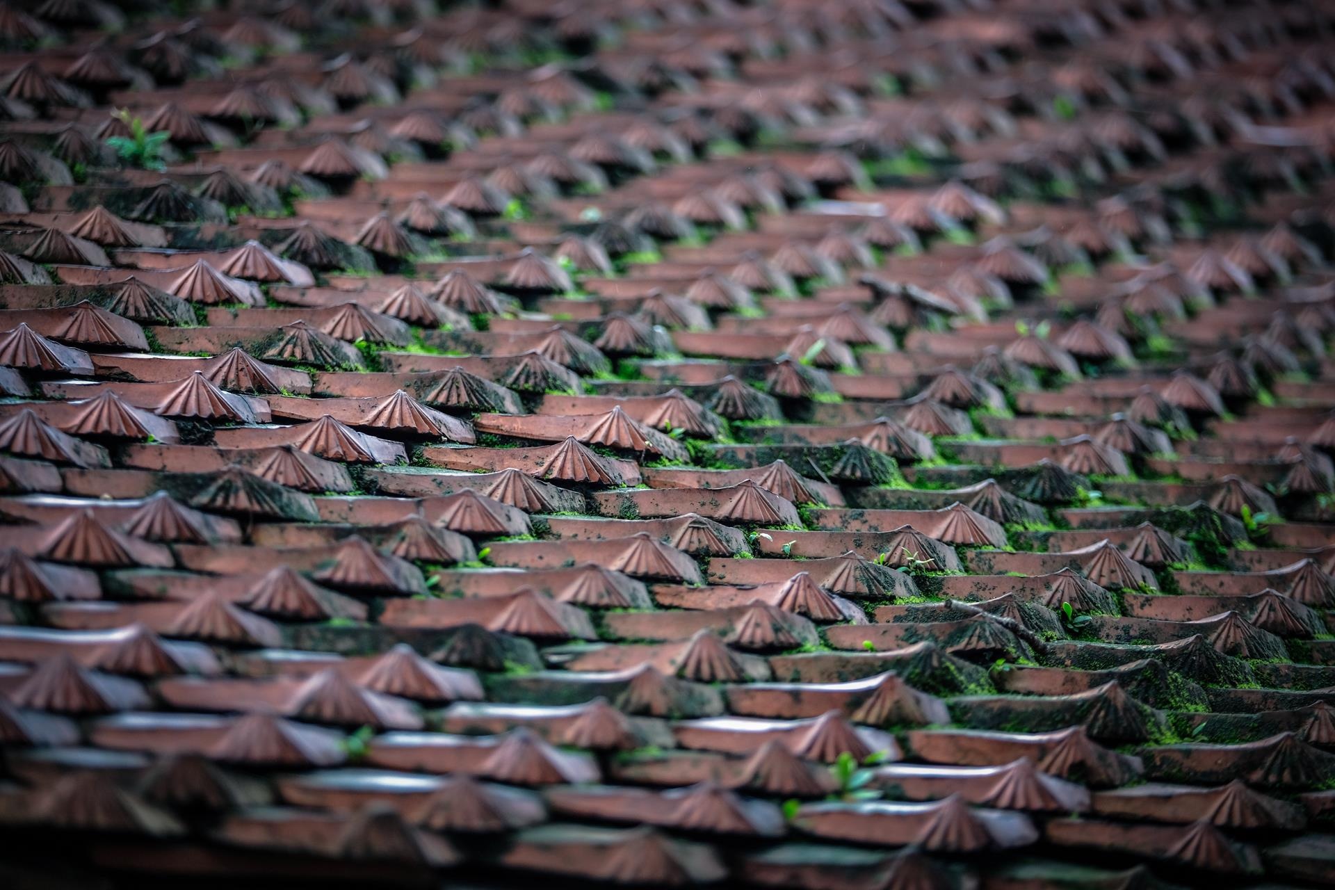 Chua Tran Quoc dep nhat the gioi anh 9