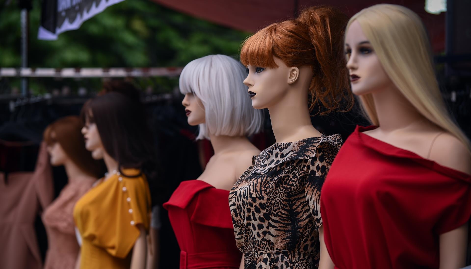 Hang nghin 'chan dai' mo hinh gay chu y o cho vai lon nhat mien Bac hinh anh