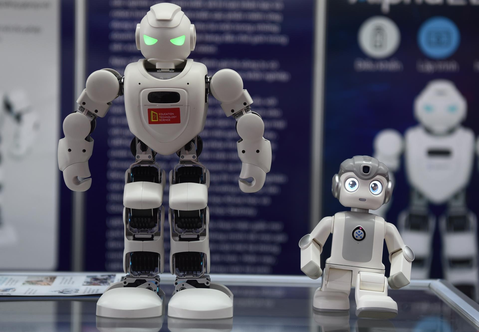 Robot la, do gom su hang chuc trieu gay chu y tai Ha Noi hinh anh