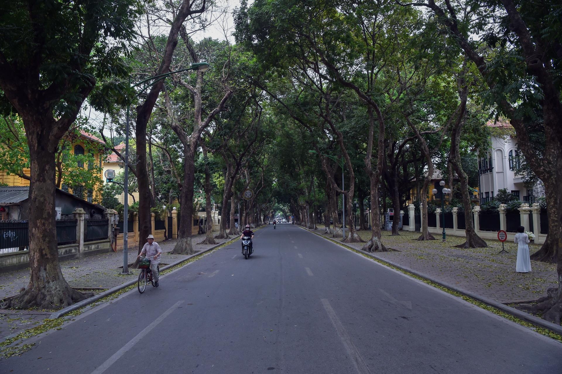 ha noi vang ve ngay gio to Hung Vuong anh 9