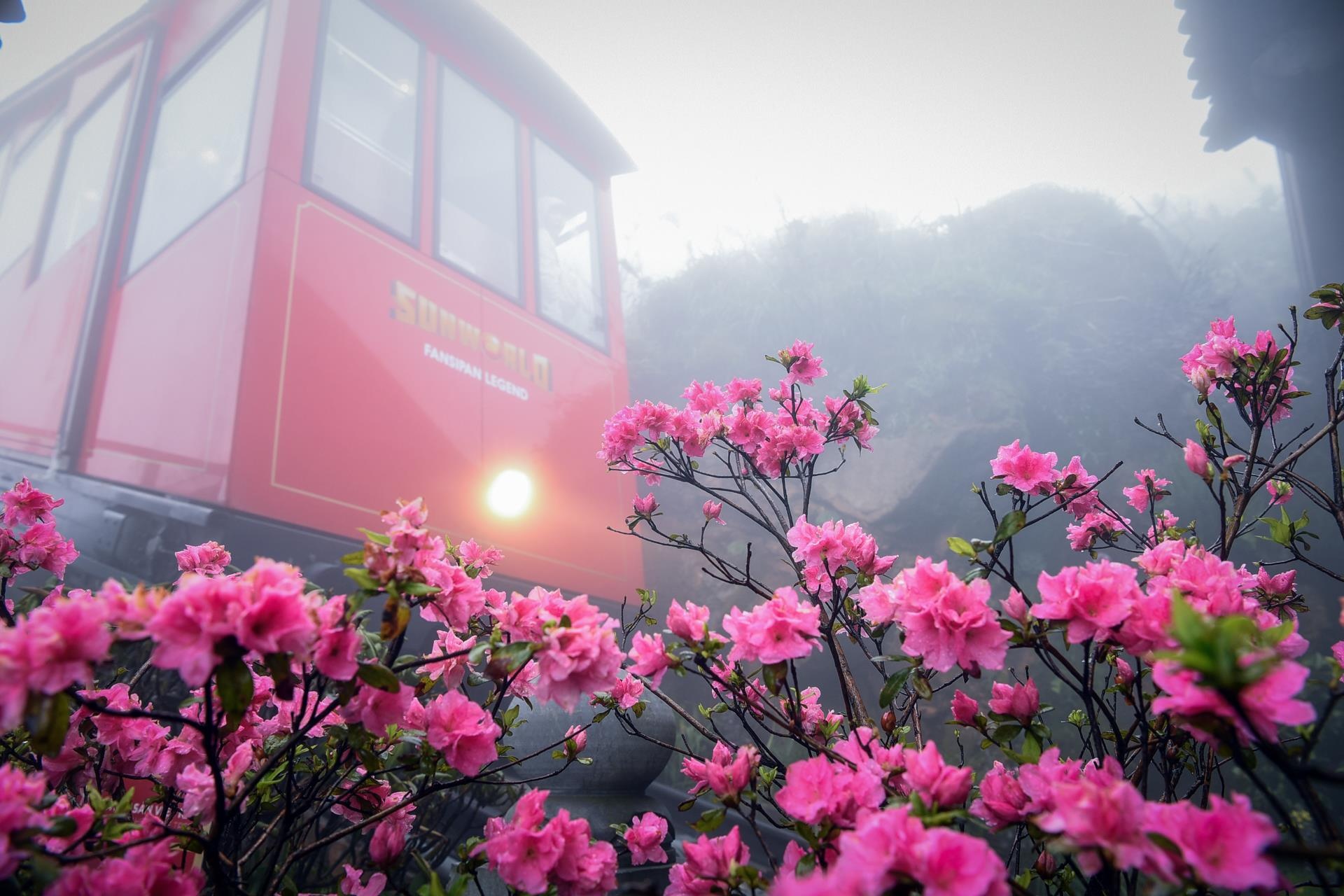 fansipan lanh giua mua he anh 2