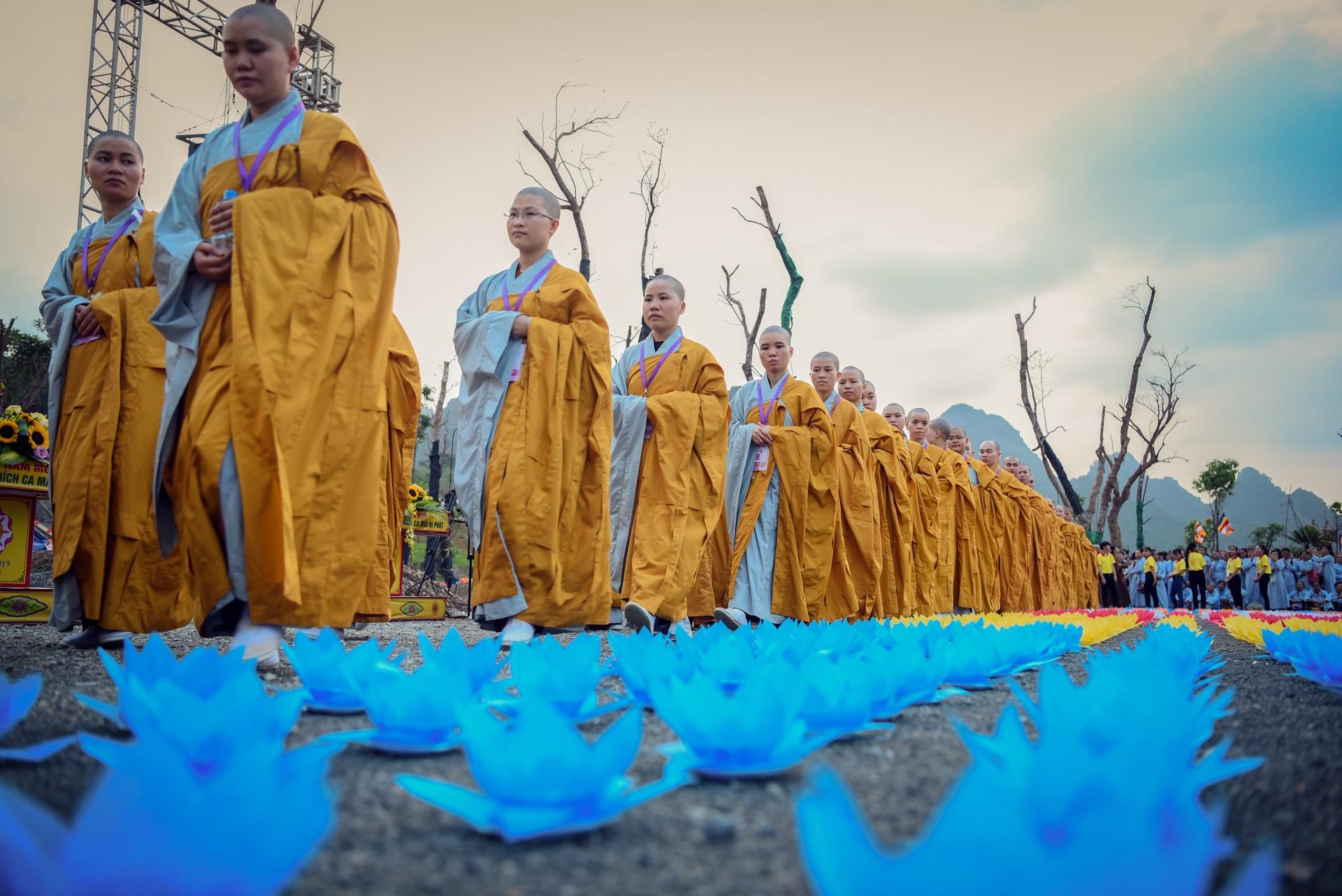le hoi hoa dang vesak anh 1
