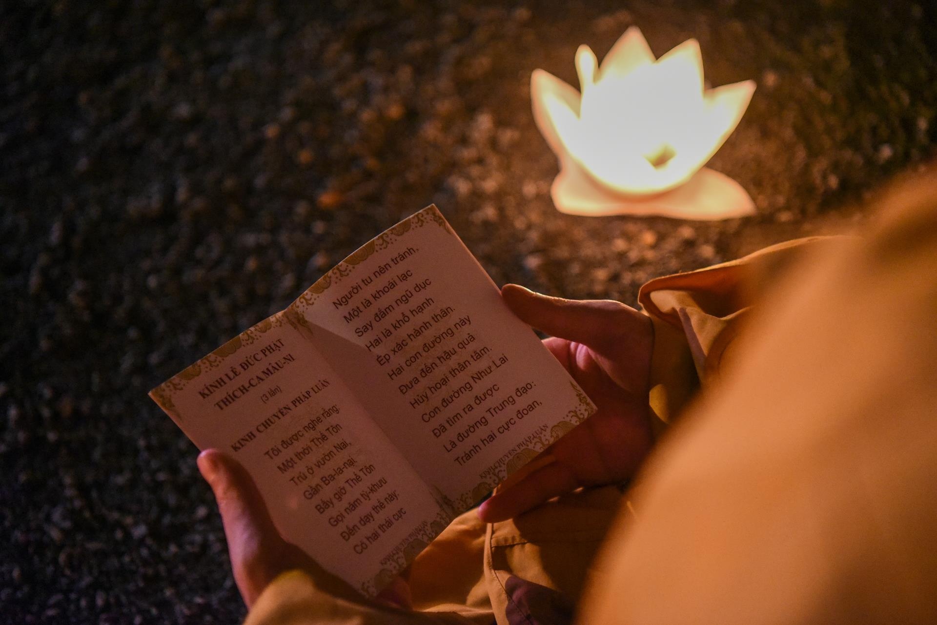 le hoi hoa dang vesak anh 8