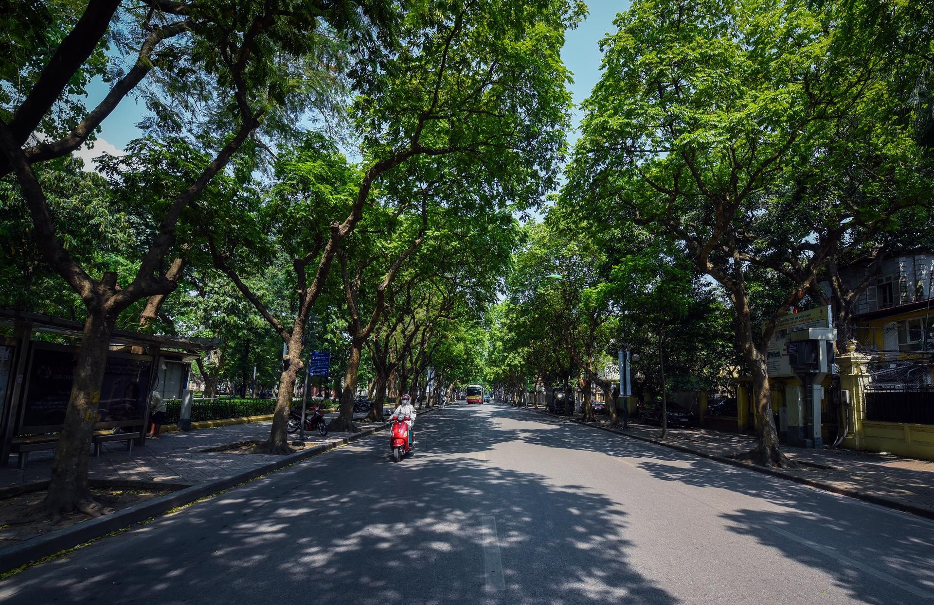 nang nong o ha noi anh 2