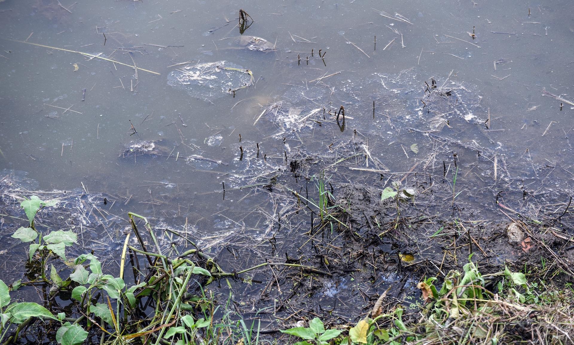 ho dieu hoa bi o nhiem anh 5