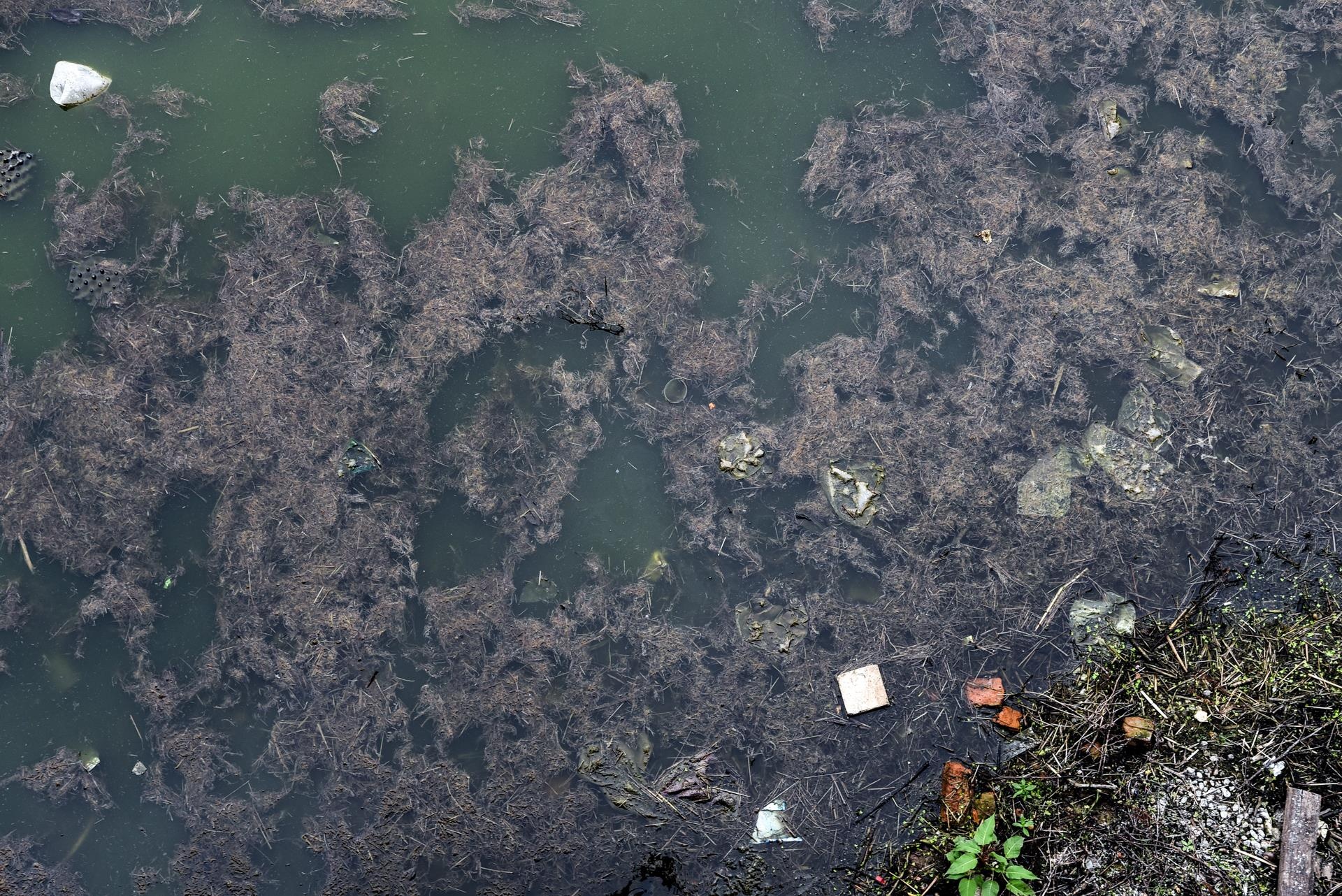 ho dieu hoa bi o nhiem anh 6