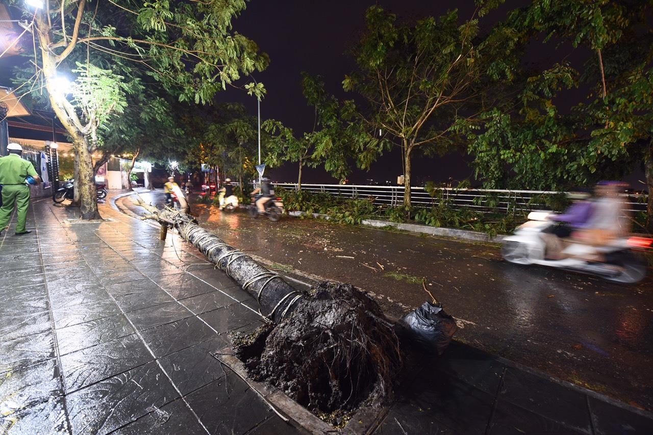 bão số 2 hà nội ảnh 10 bao so 2 ha noi anh 10