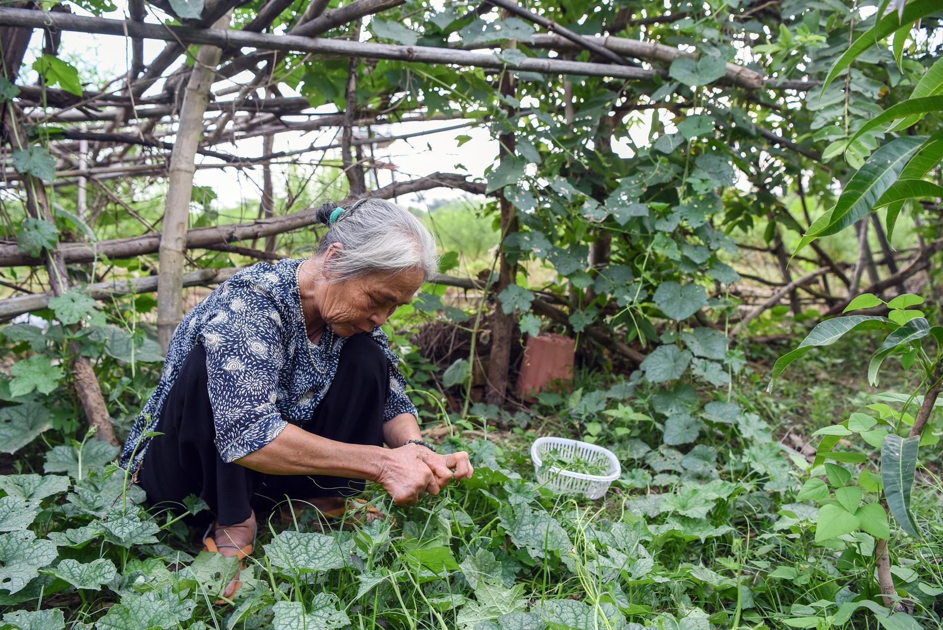 benh phong cui anh 8