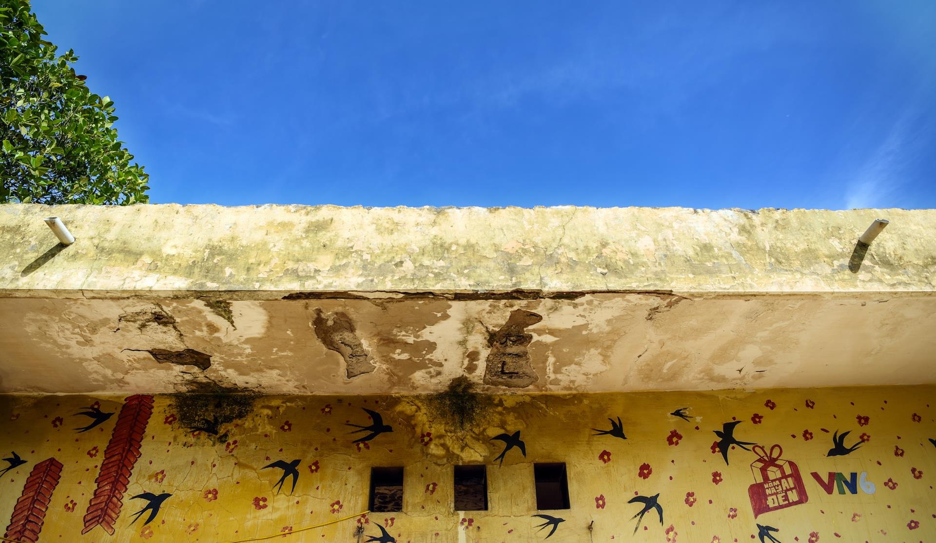 benh phong cui anh 6