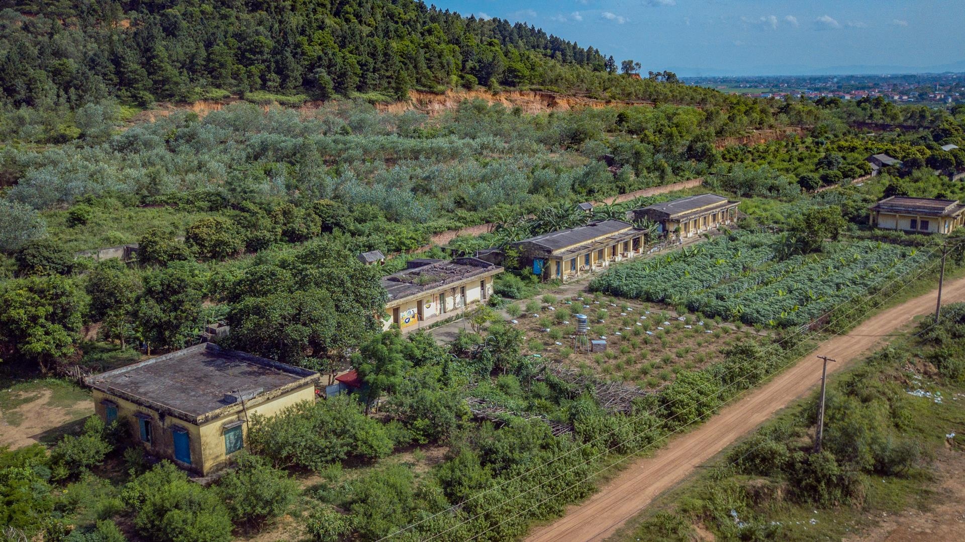 benh phong cui anh 2