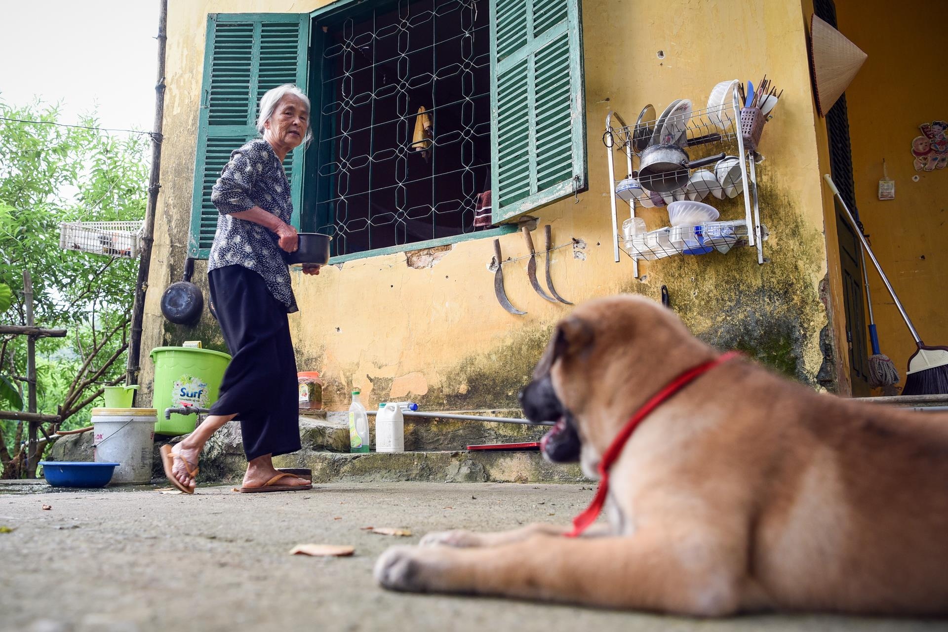 benh phong cui anh 24