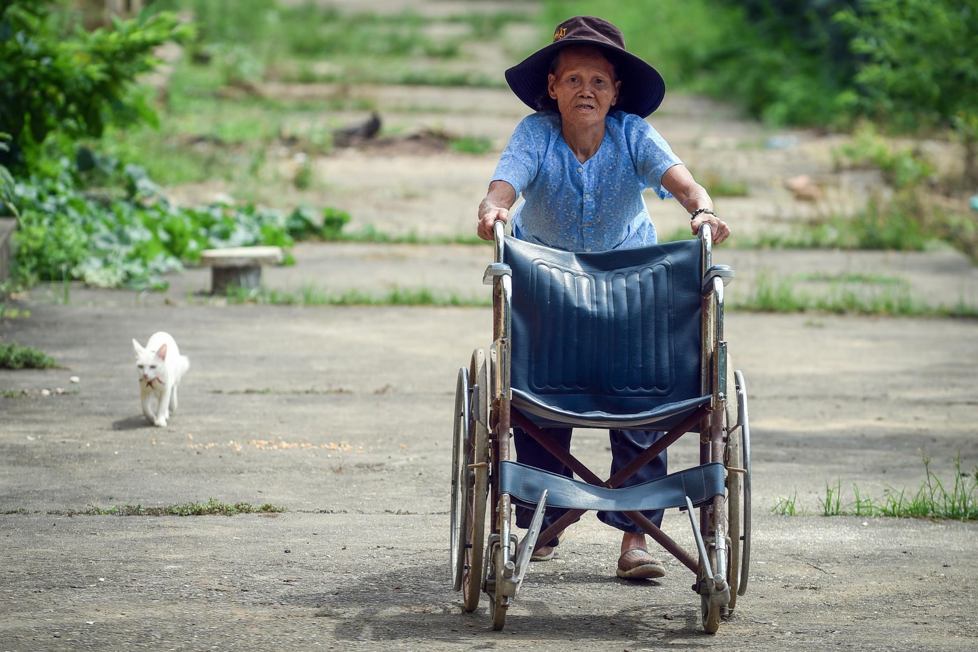 benh phong cui anh 18