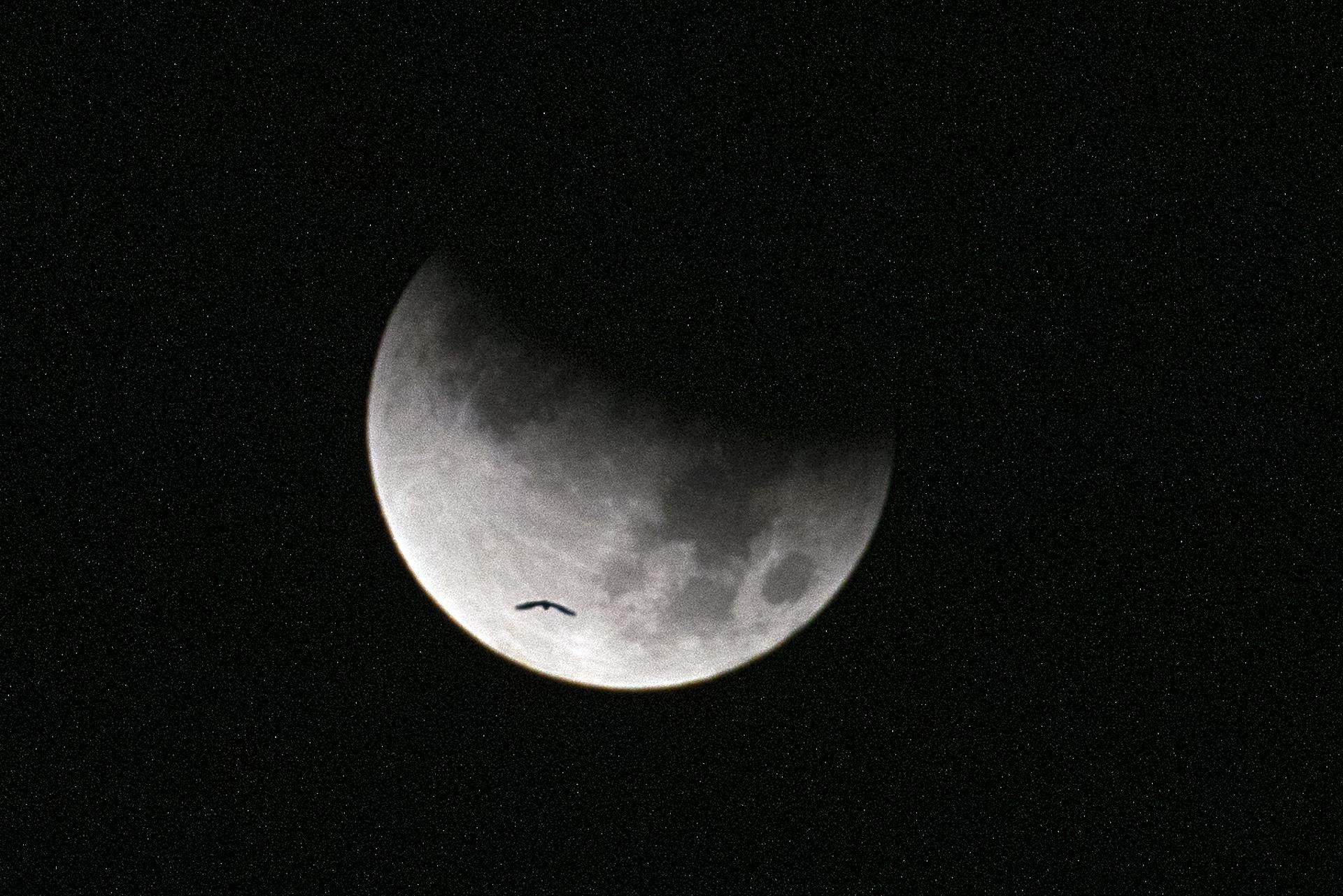 nguyet thuc mot phan anh 8