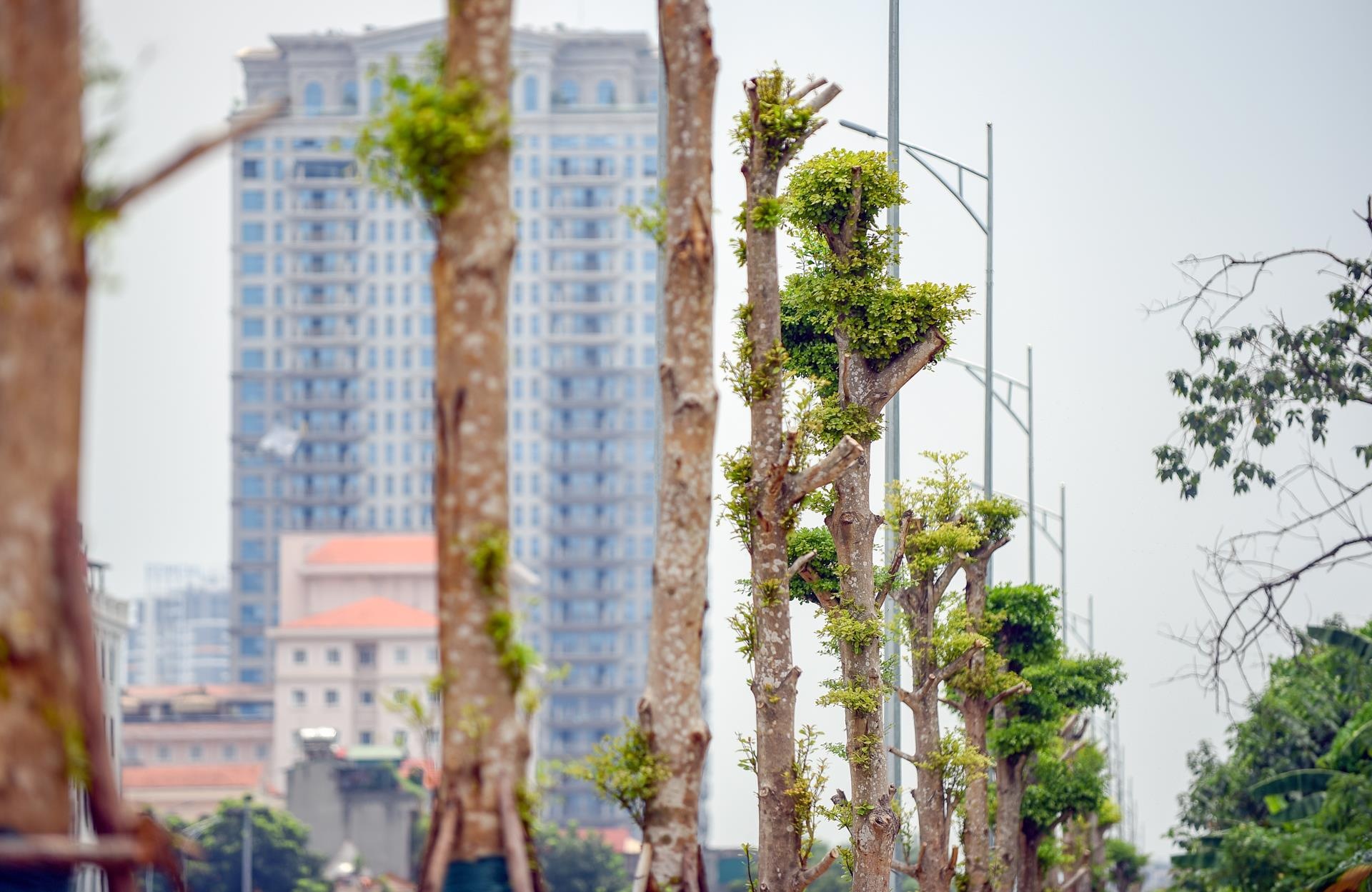 thong xe tuyen duong 8 lan o ha noi anh 7