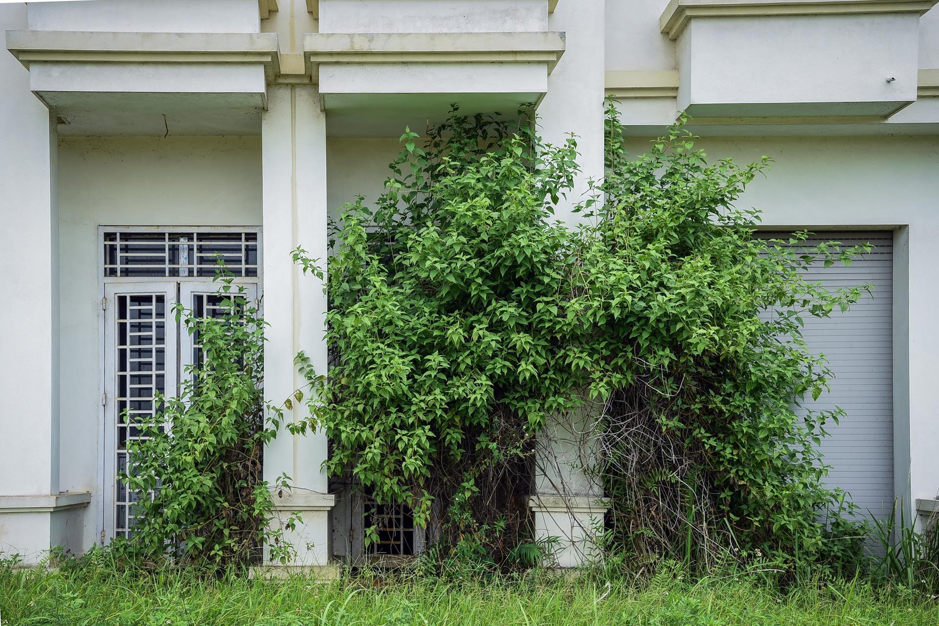 biet thu kieu phap bo hoang o ha noi anh 8