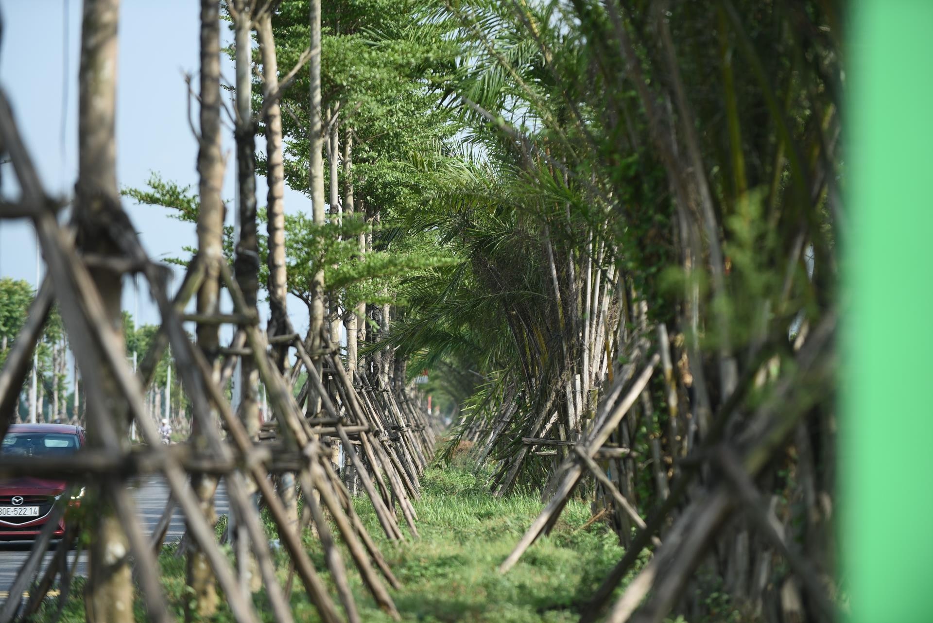 duong 5000 ty o ha noi anh 9