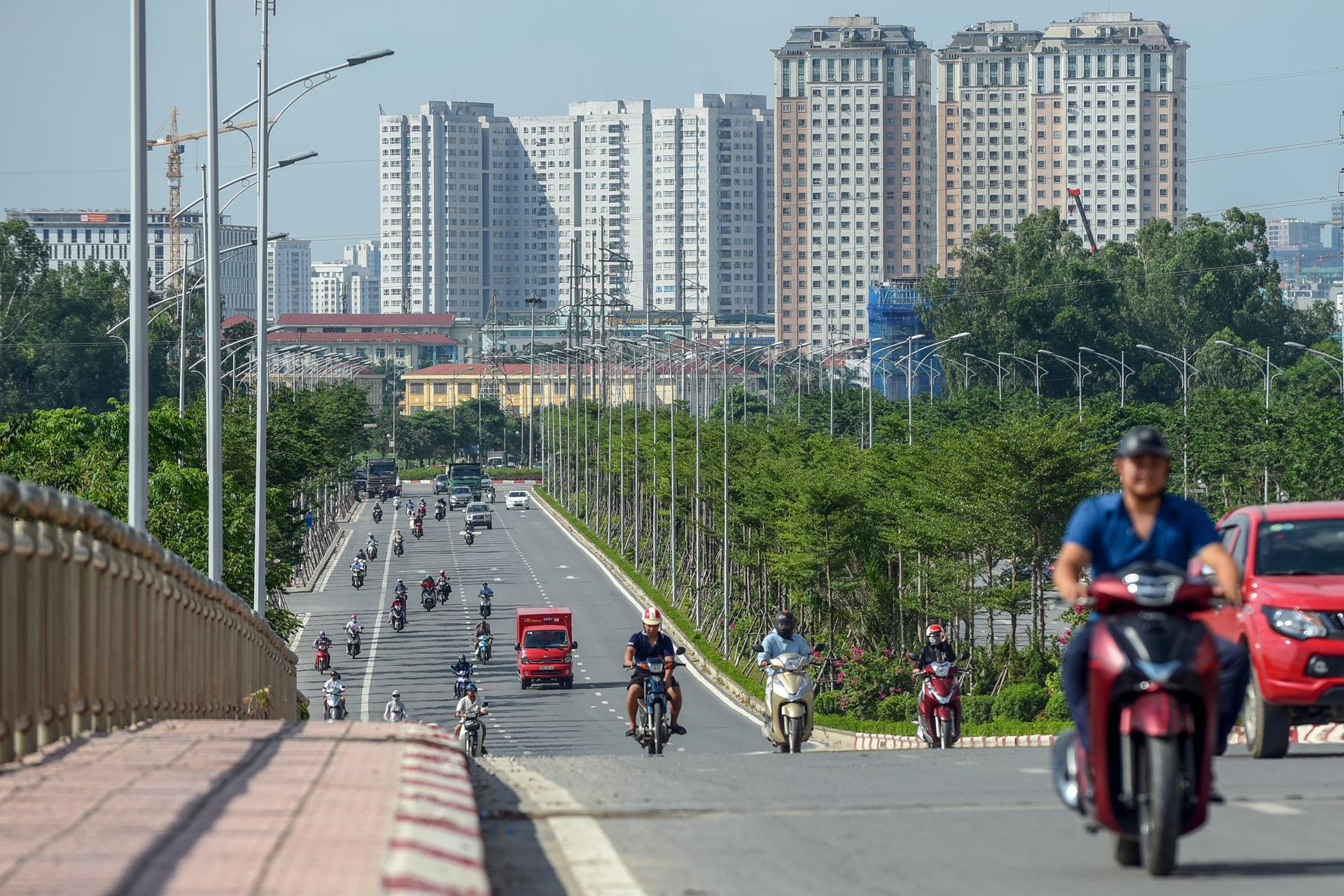 trau bo tha rong tren duong nghin ty anh 2