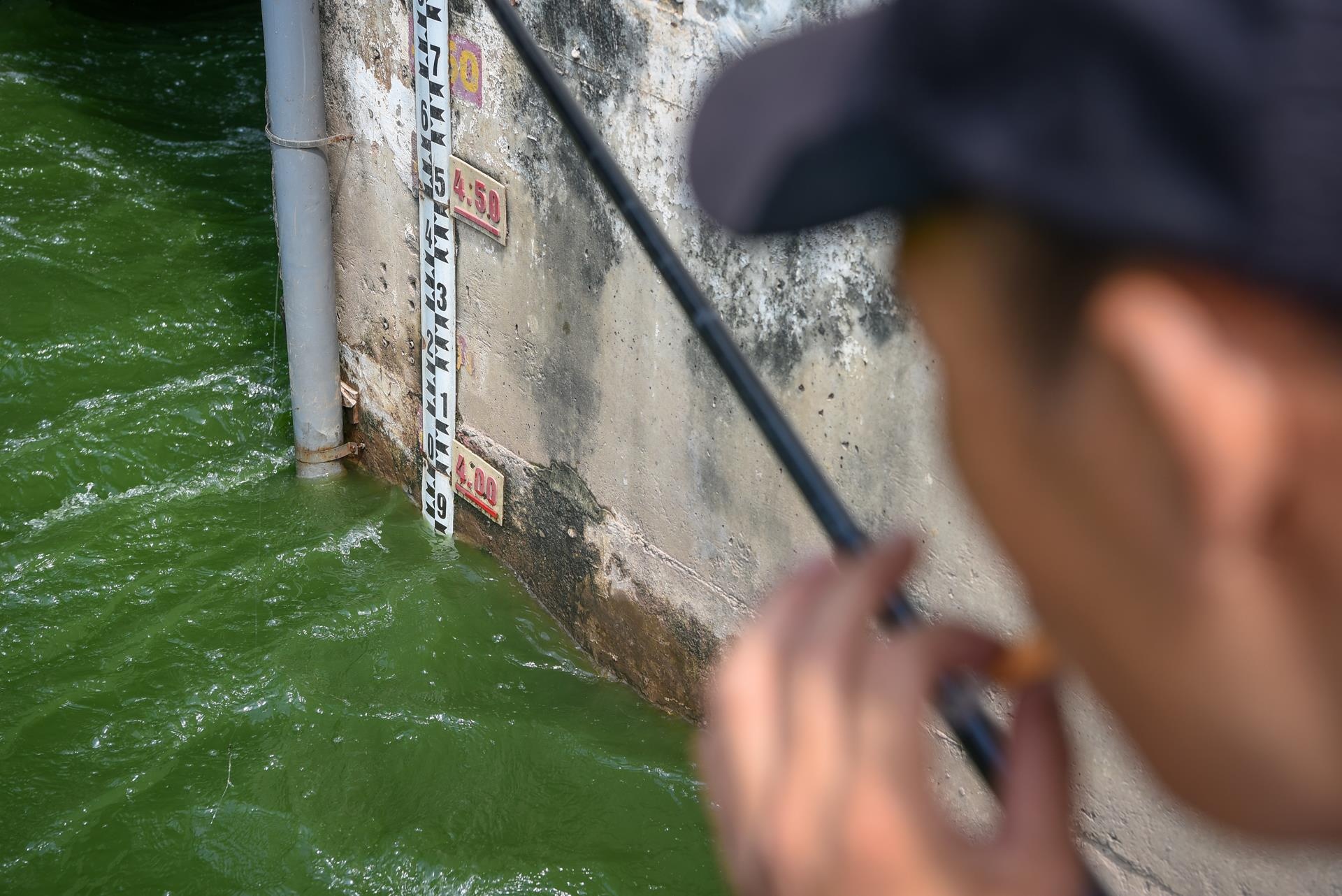 bat ca song to lich anh 11