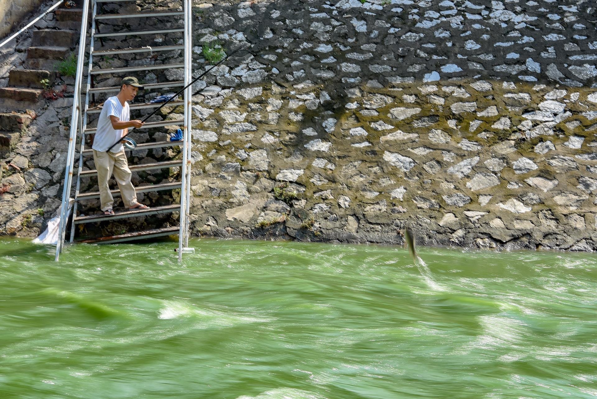 bat ca song to lich anh 3