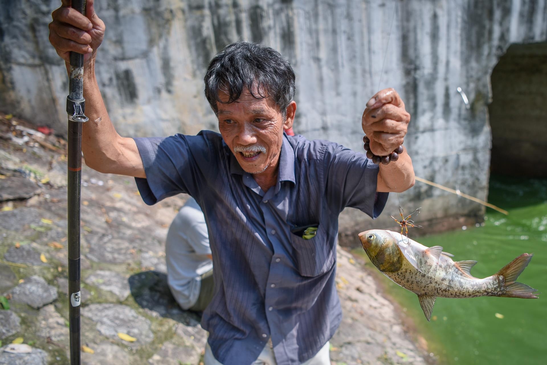 bat ca song to lich anh 5