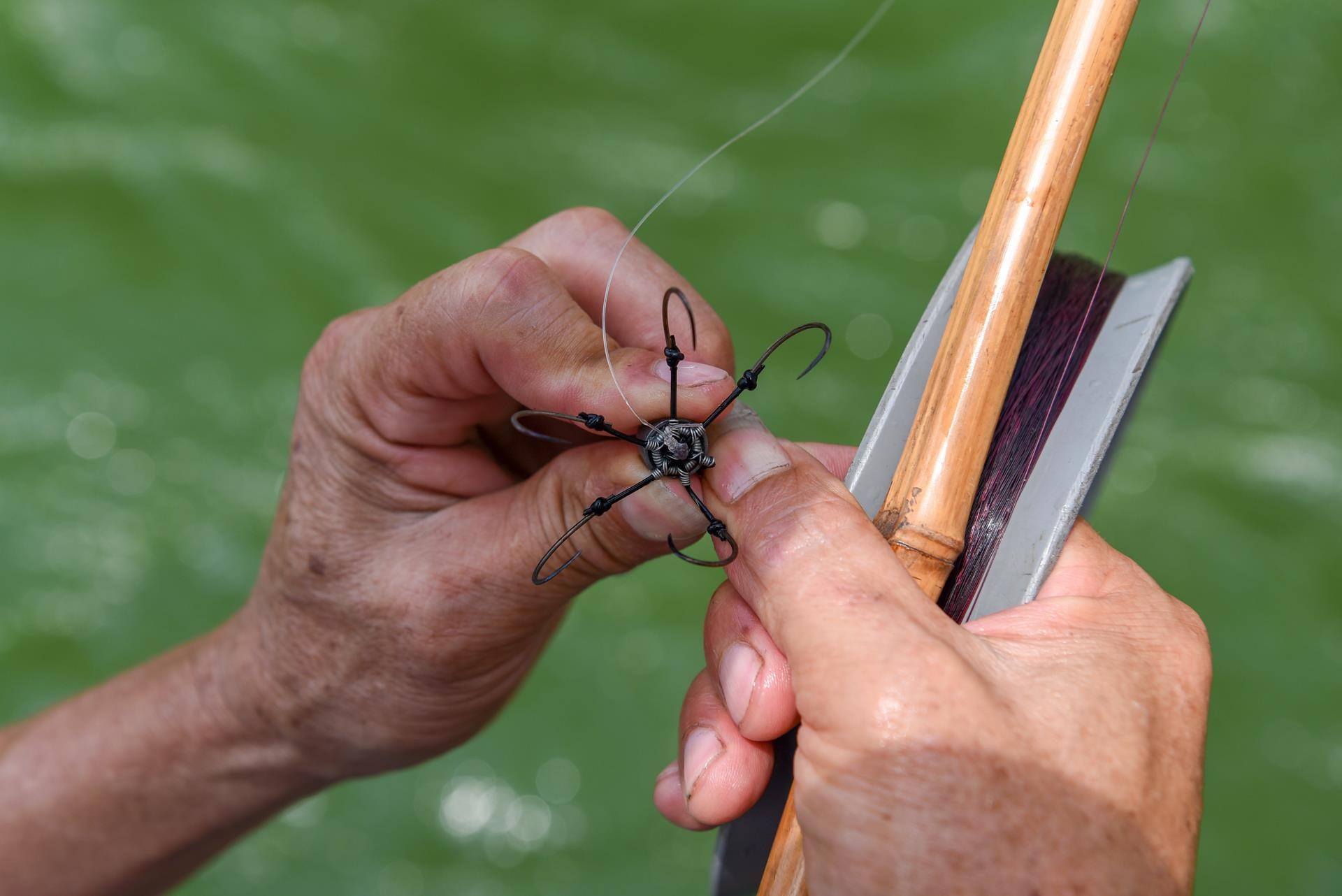 bat ca song to lich anh 8