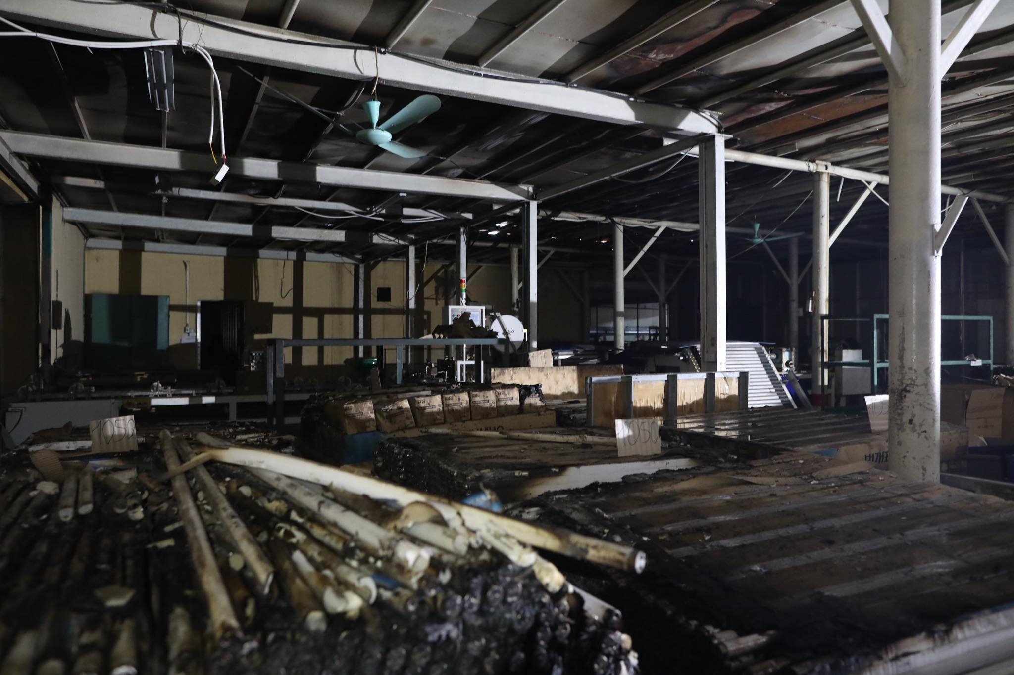 quan doi tay doc Rang Dong anh 8