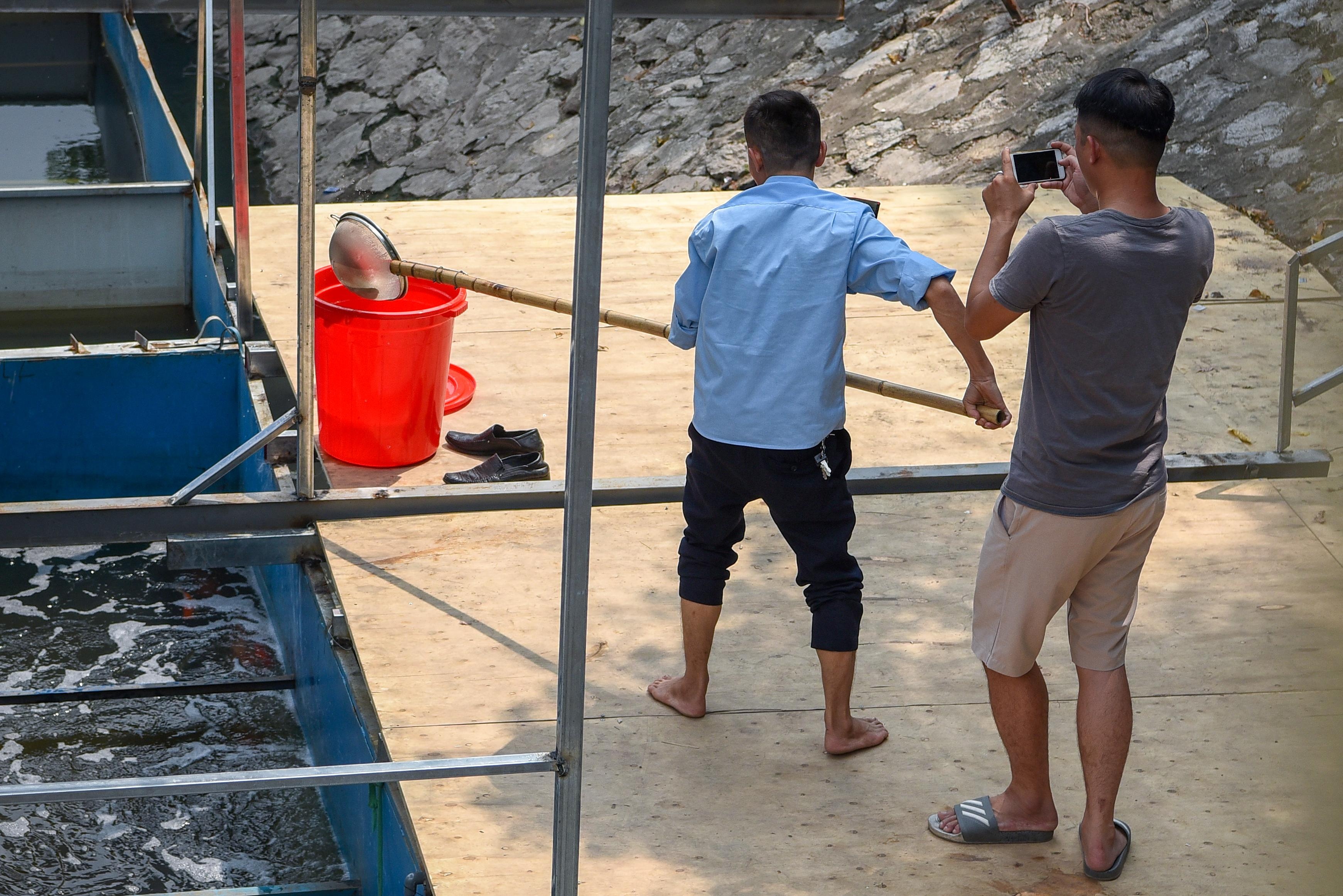 cá koi sông tô lịch ảnh 3 ca koi song to lich anh 3