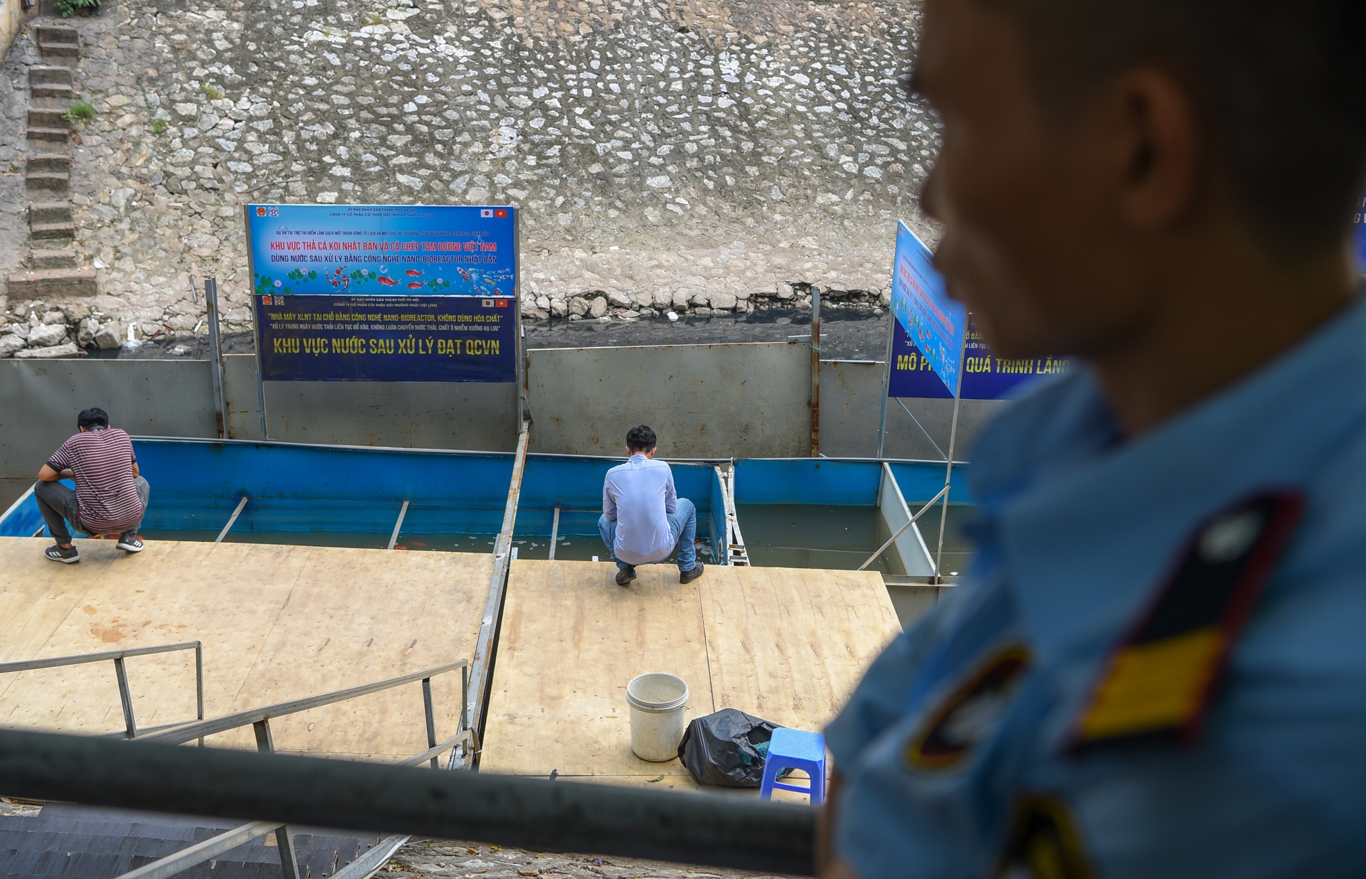cá koi sông tô lịch ảnh 9 ca koi song to lich anh 9