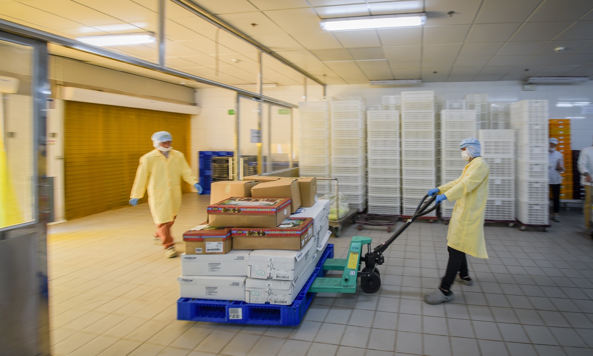 suat an hang khong anh 2