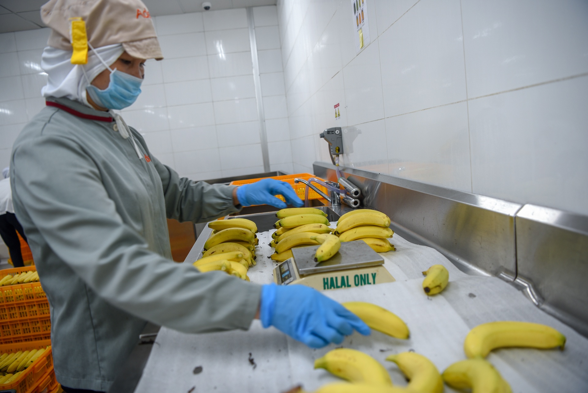 suat an hang khong anh 3