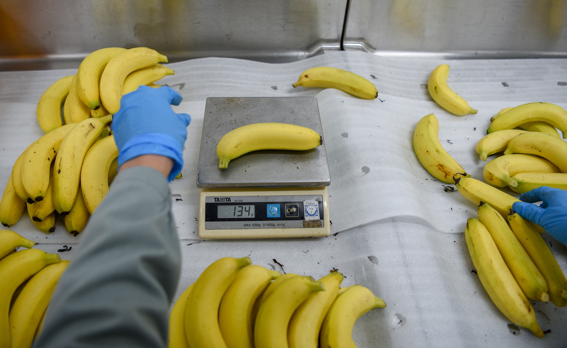 suat an hang khong anh 4