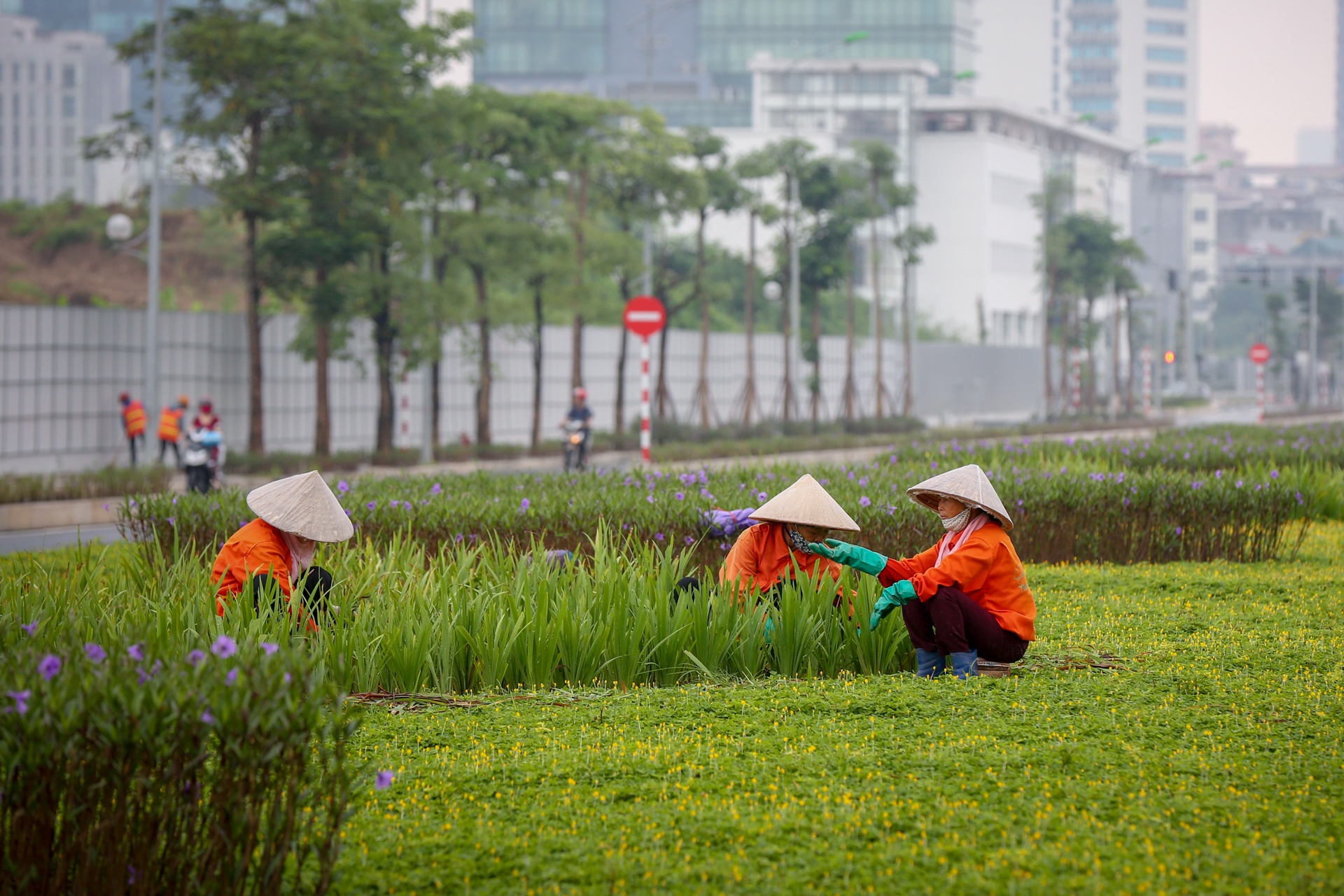 thong xe duong nguyen van huyen keo dai anh 8