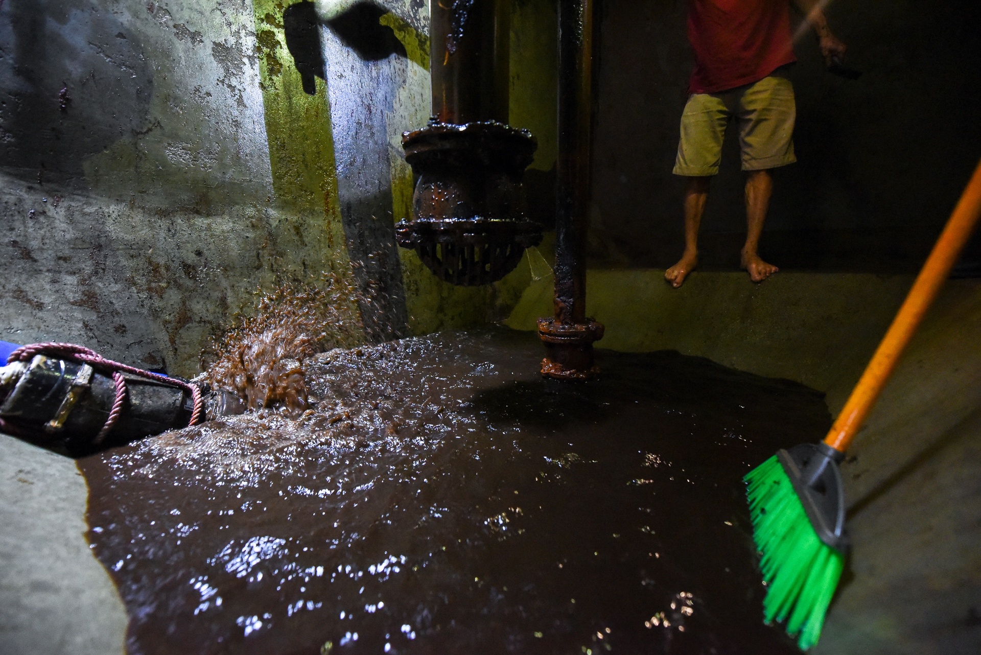 nuoc sinh hoat o nhiem anh 5