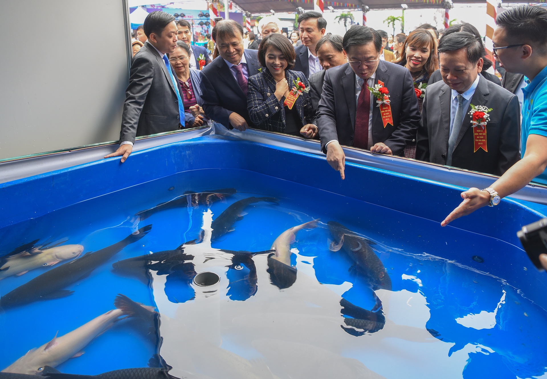 nong san hoa binh anh 6