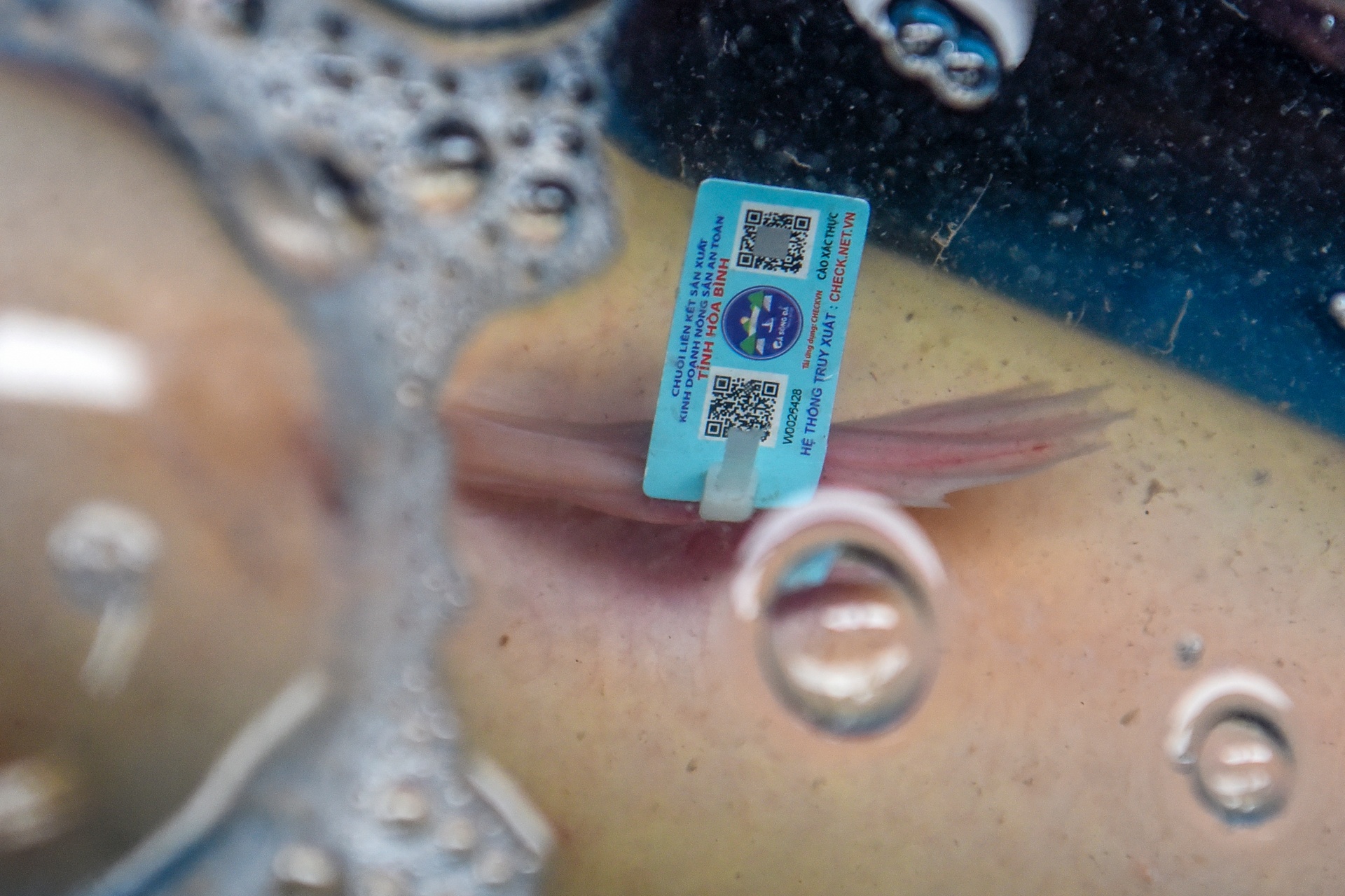 nong san hoa binh anh 7