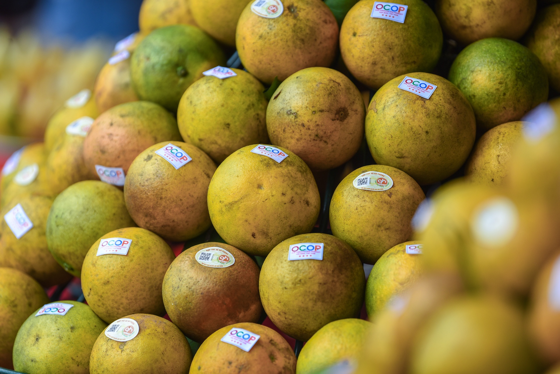 nong san hoa binh anh 8