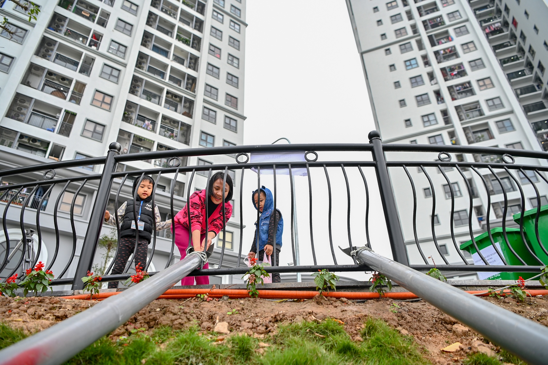 ca chep di mang truot ve troi anh 2